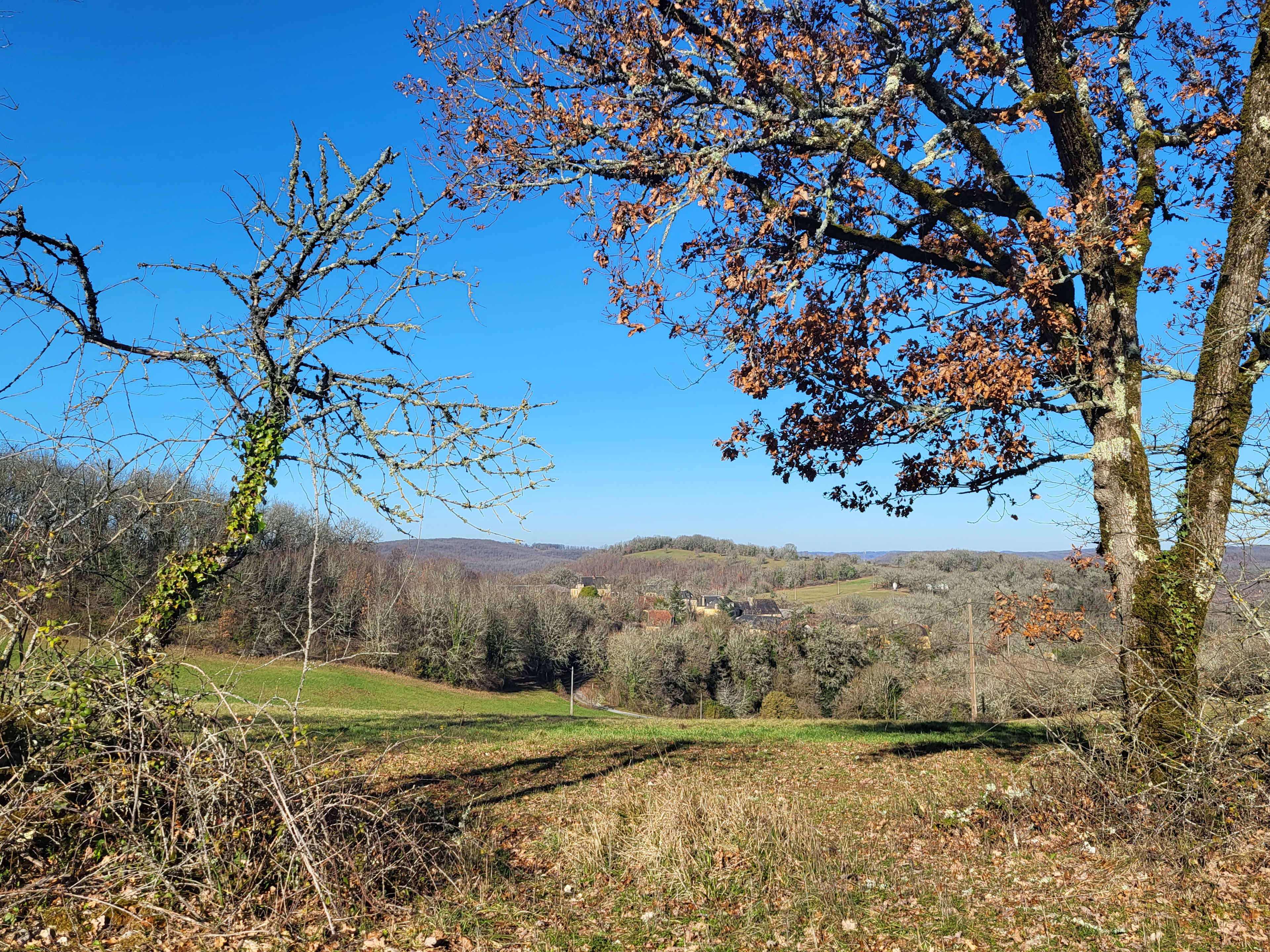 Laplane Occitane