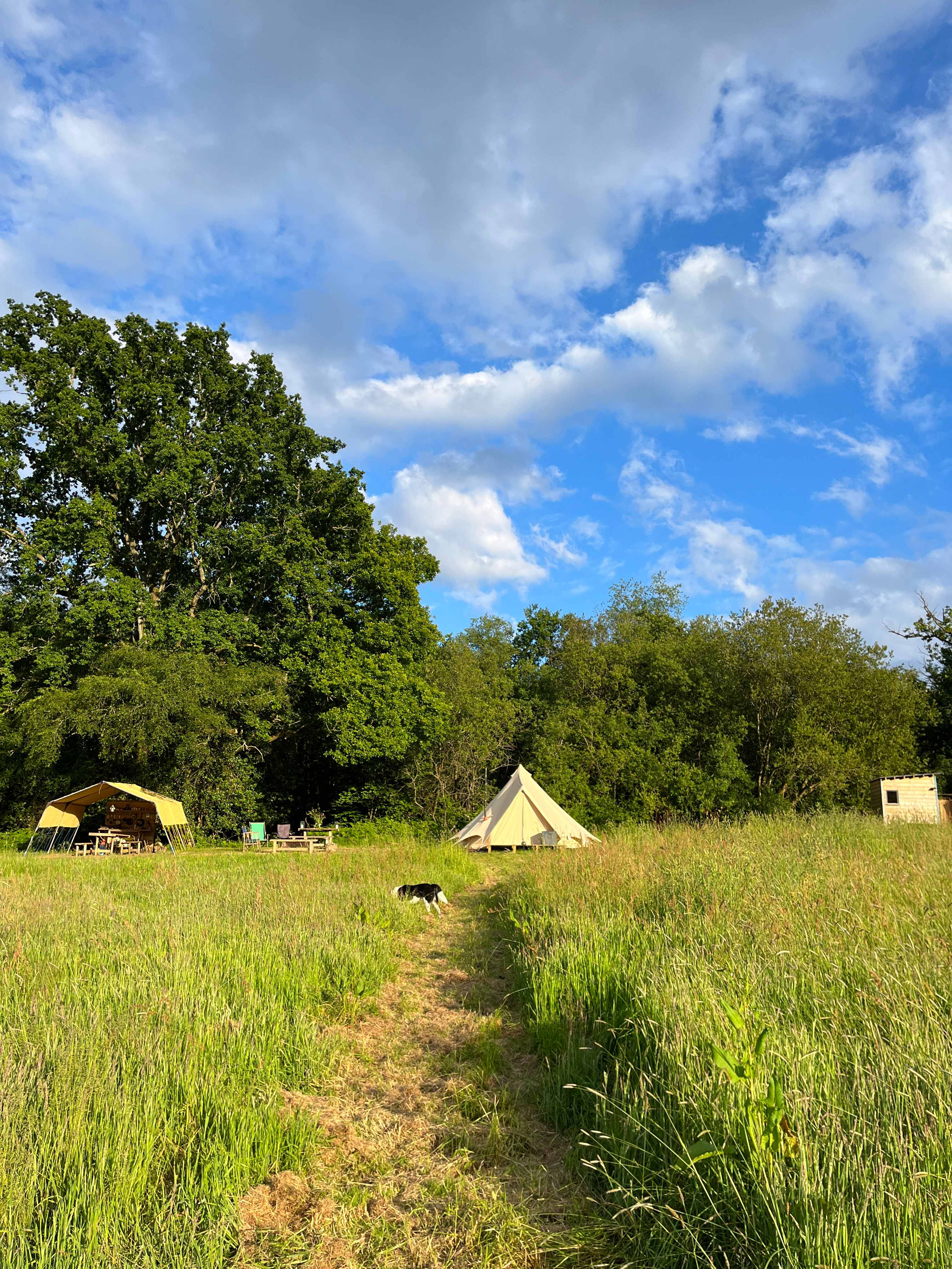Lickham Bottom Camp