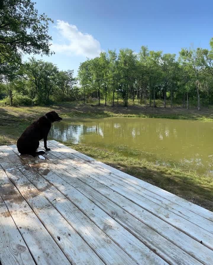 Texas Sage RV Park