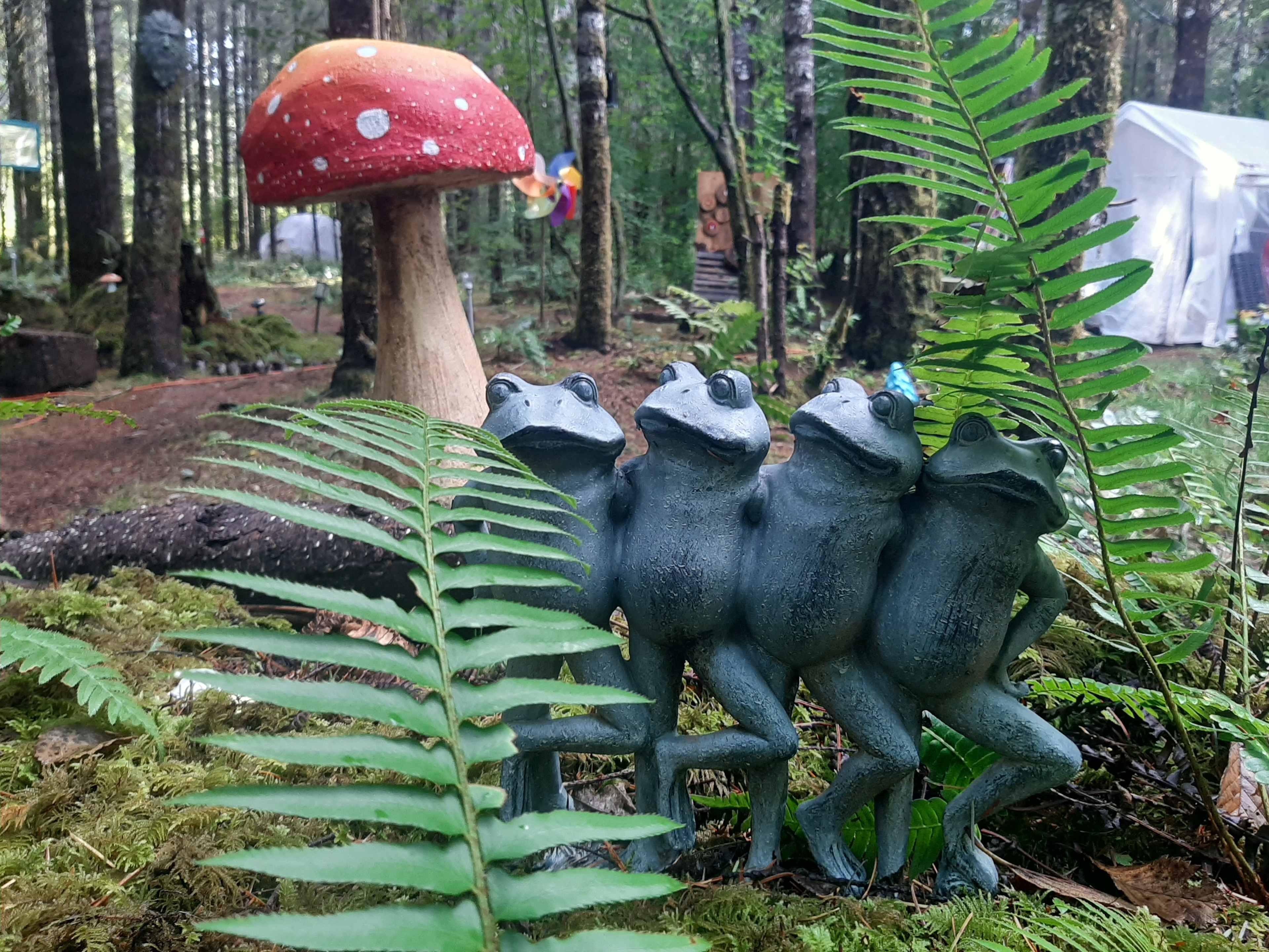 Elfendahl Forest