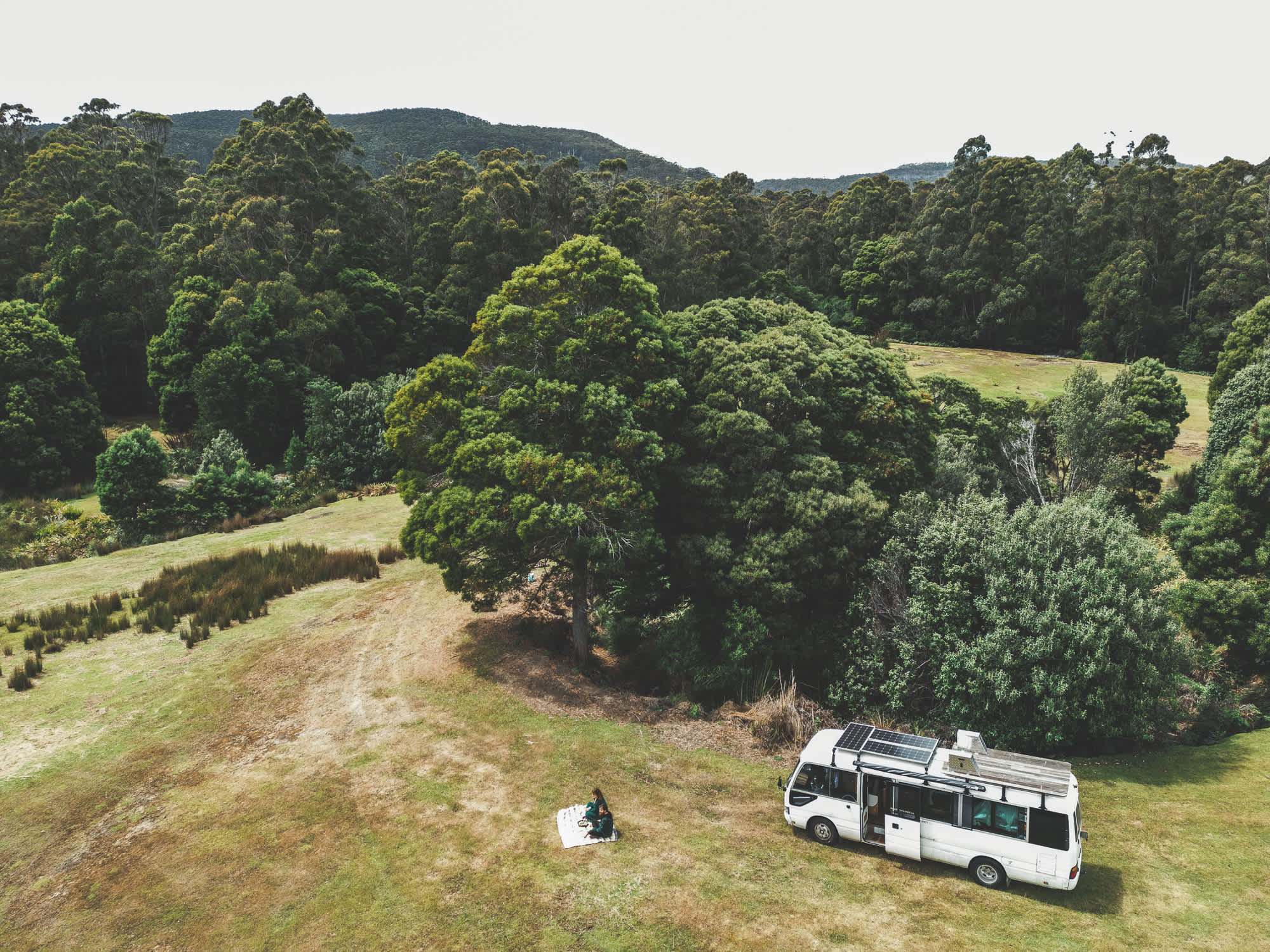Homebush Camp