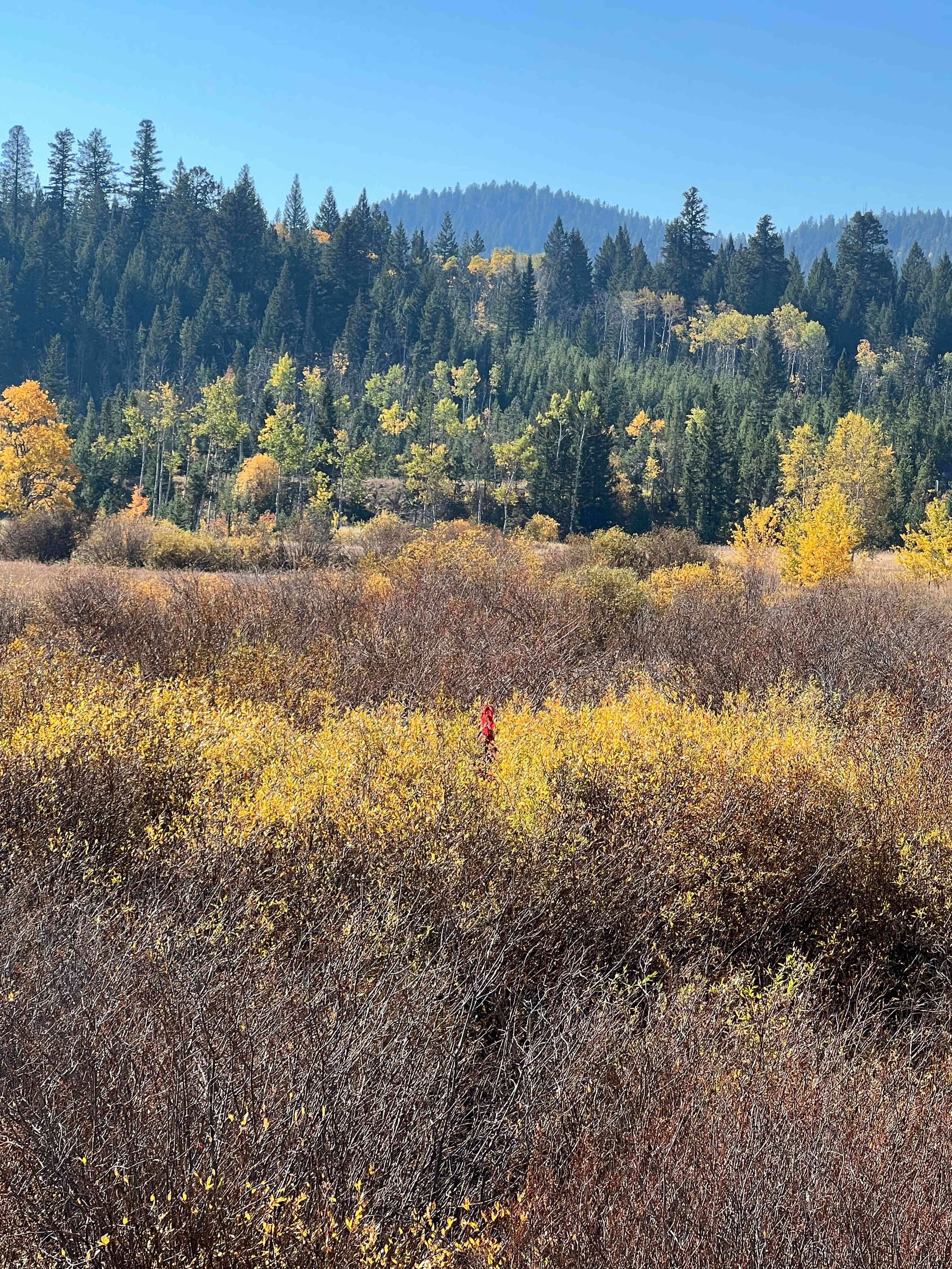 Highland House Ranch BnB