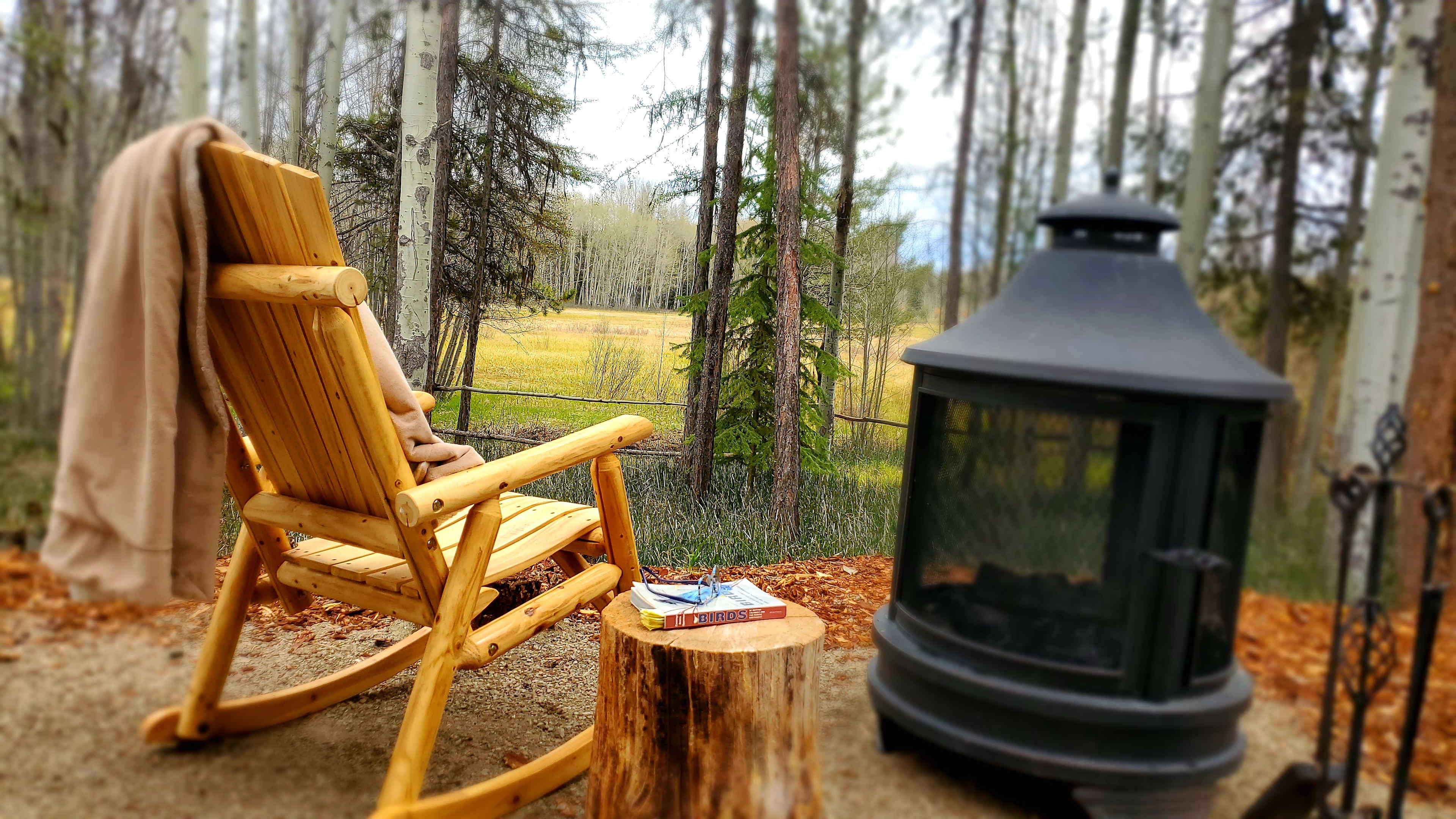 Enjoy a hot coffee in the mornings, while listening to many birds 