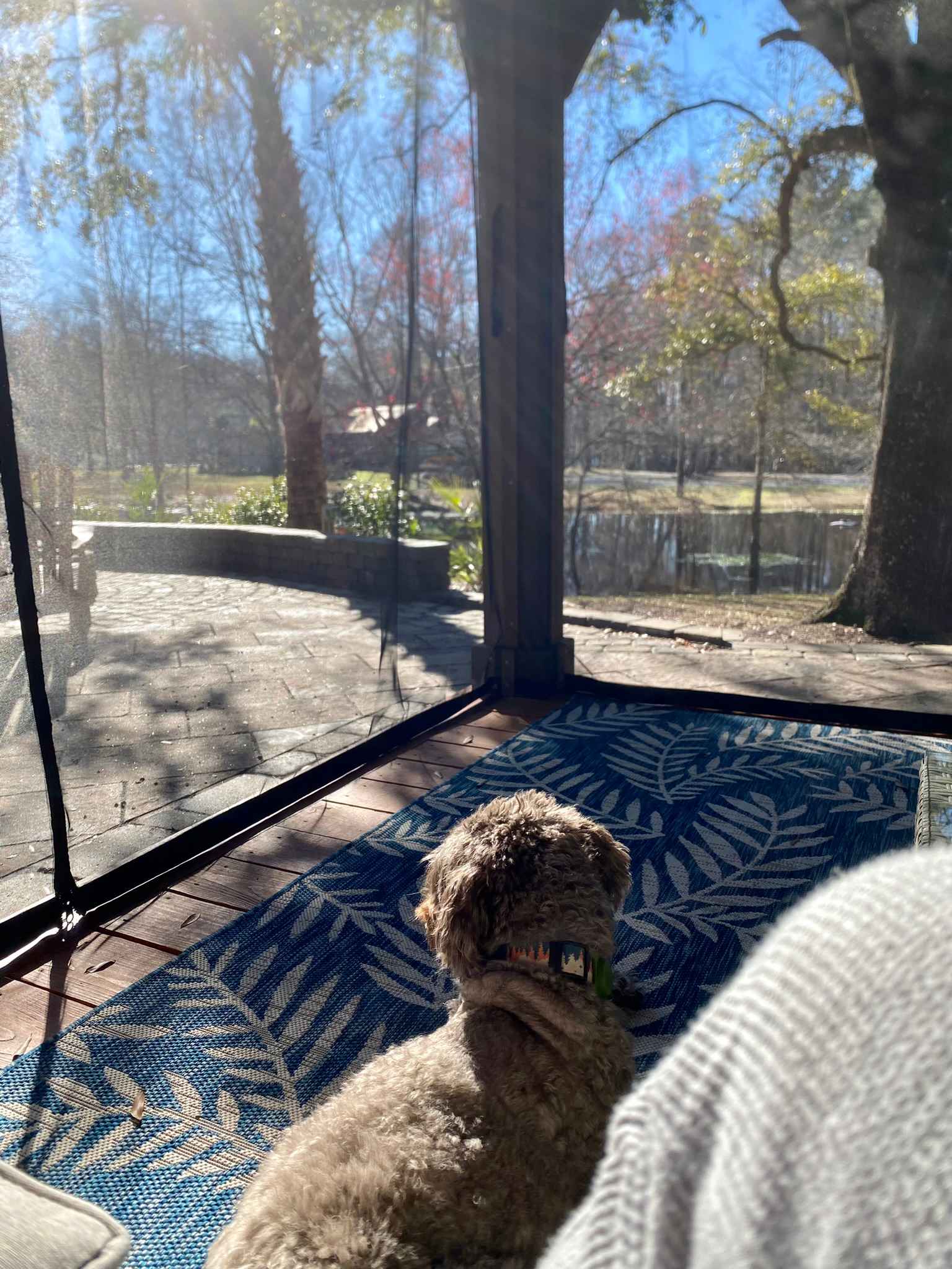 Edisto River Luxury RV Resort