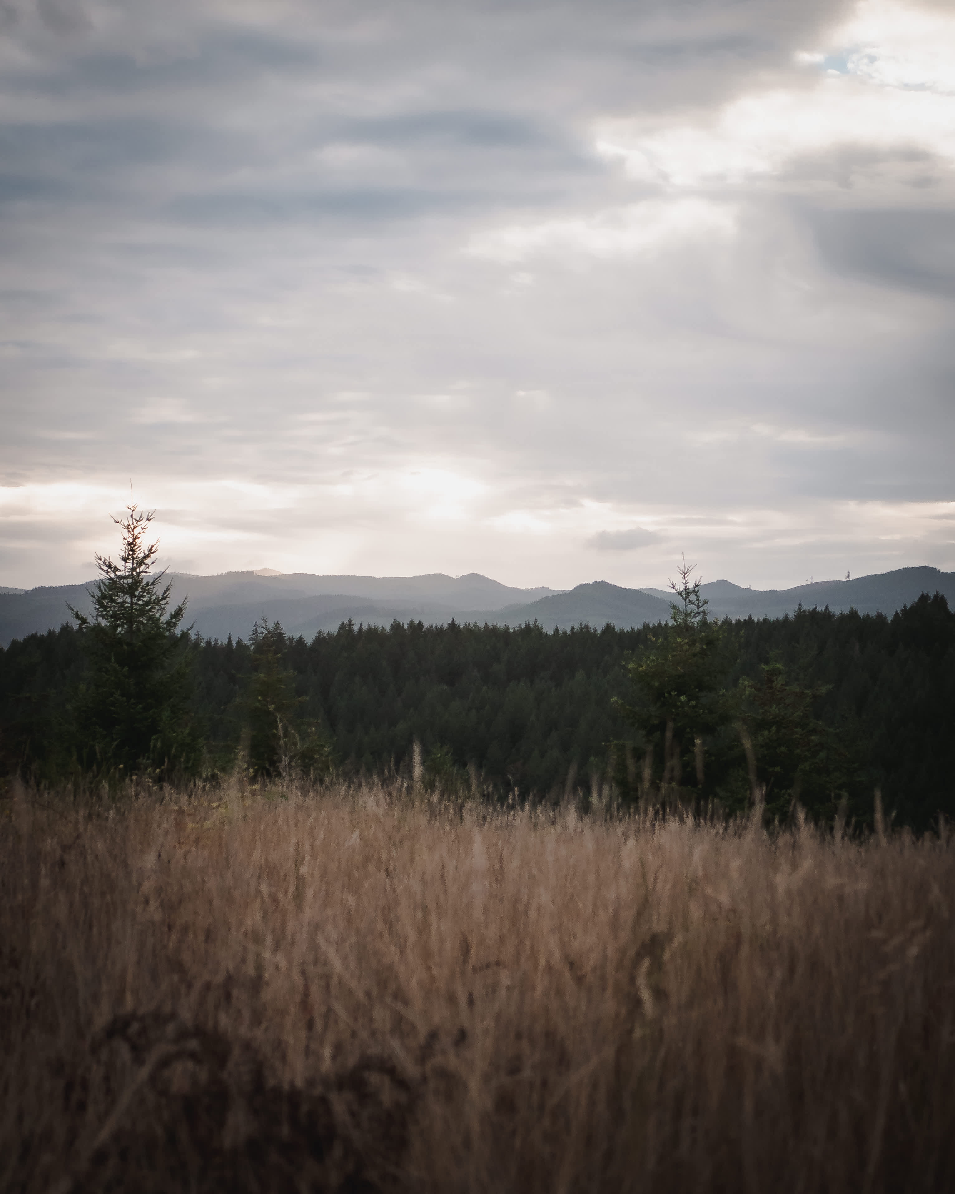 A misty fall view of the Coast Range from the campsite