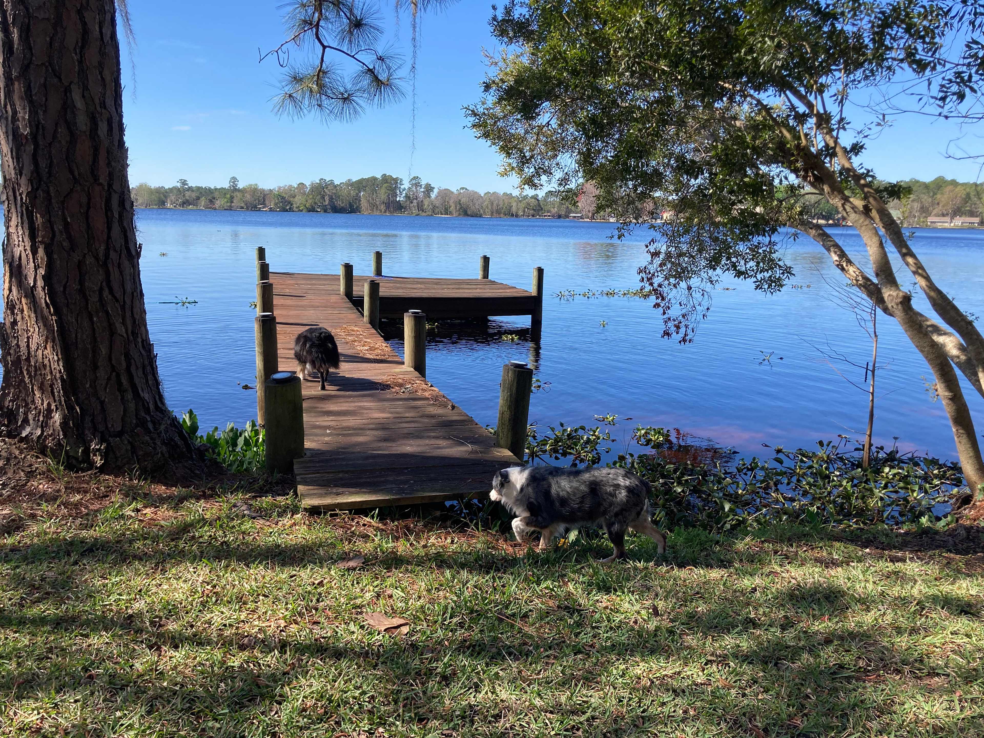 Lakeside Retreat @ Lake Ida