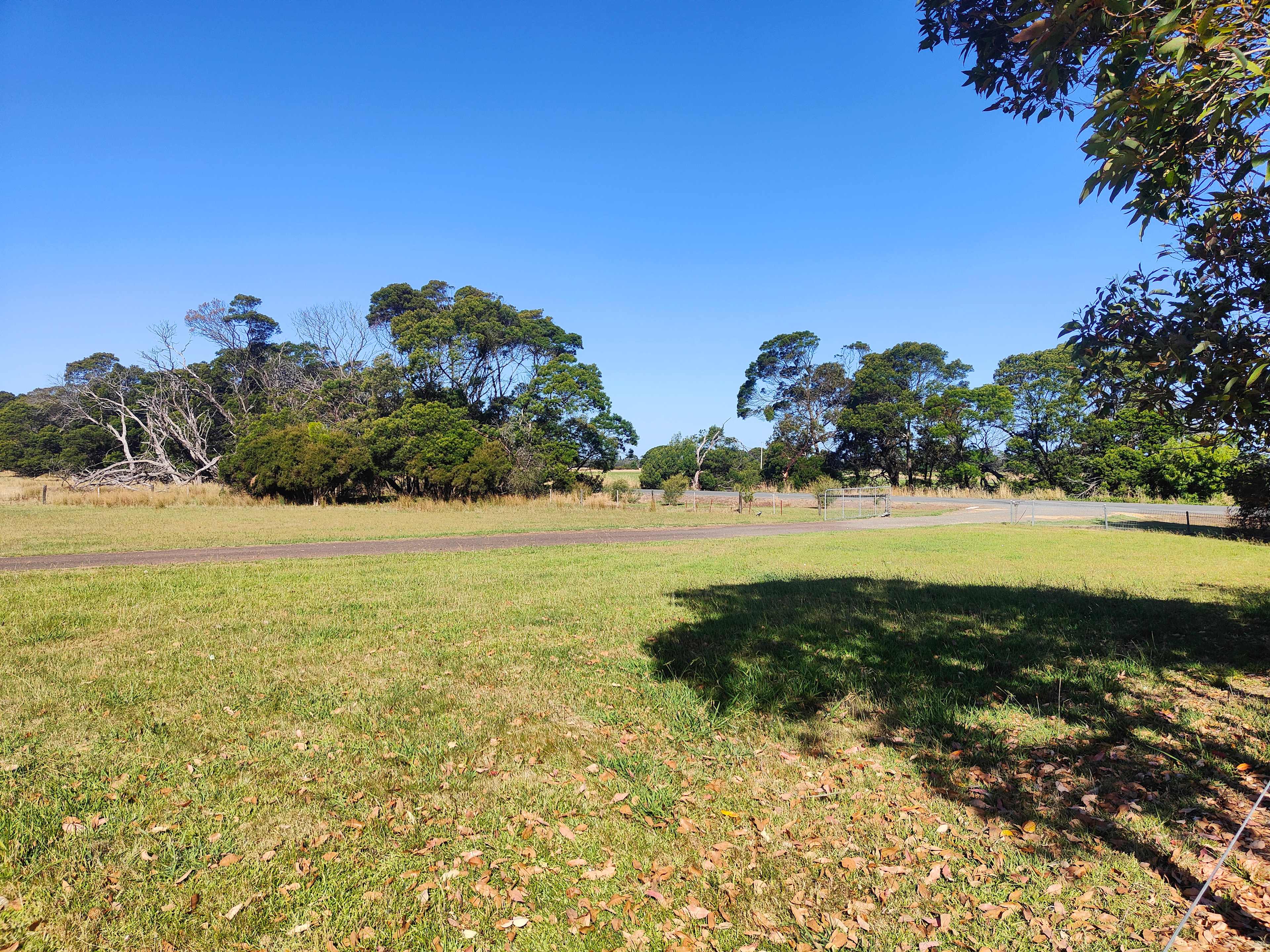 Camping Space