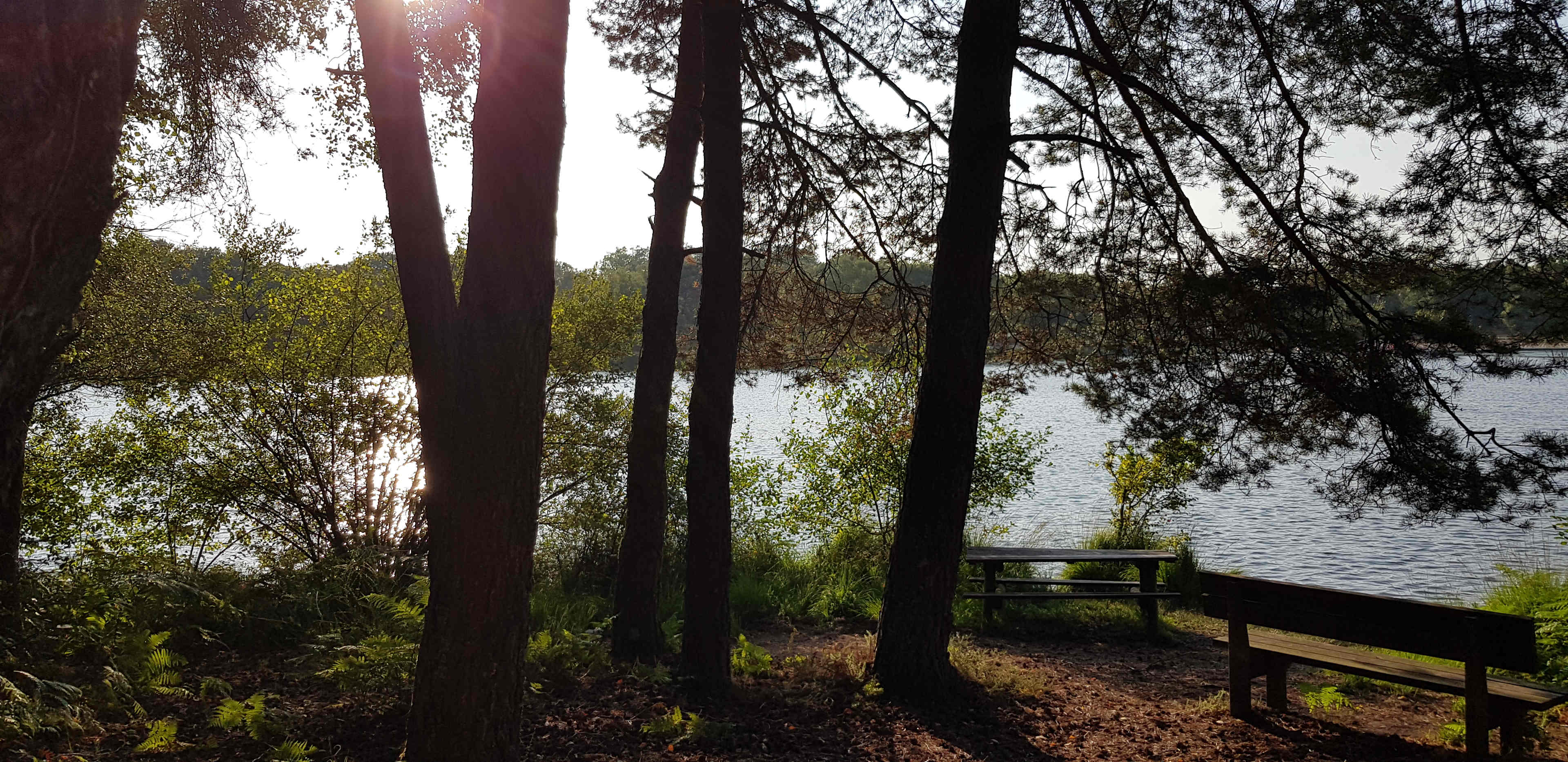 Little Forest of Muratet