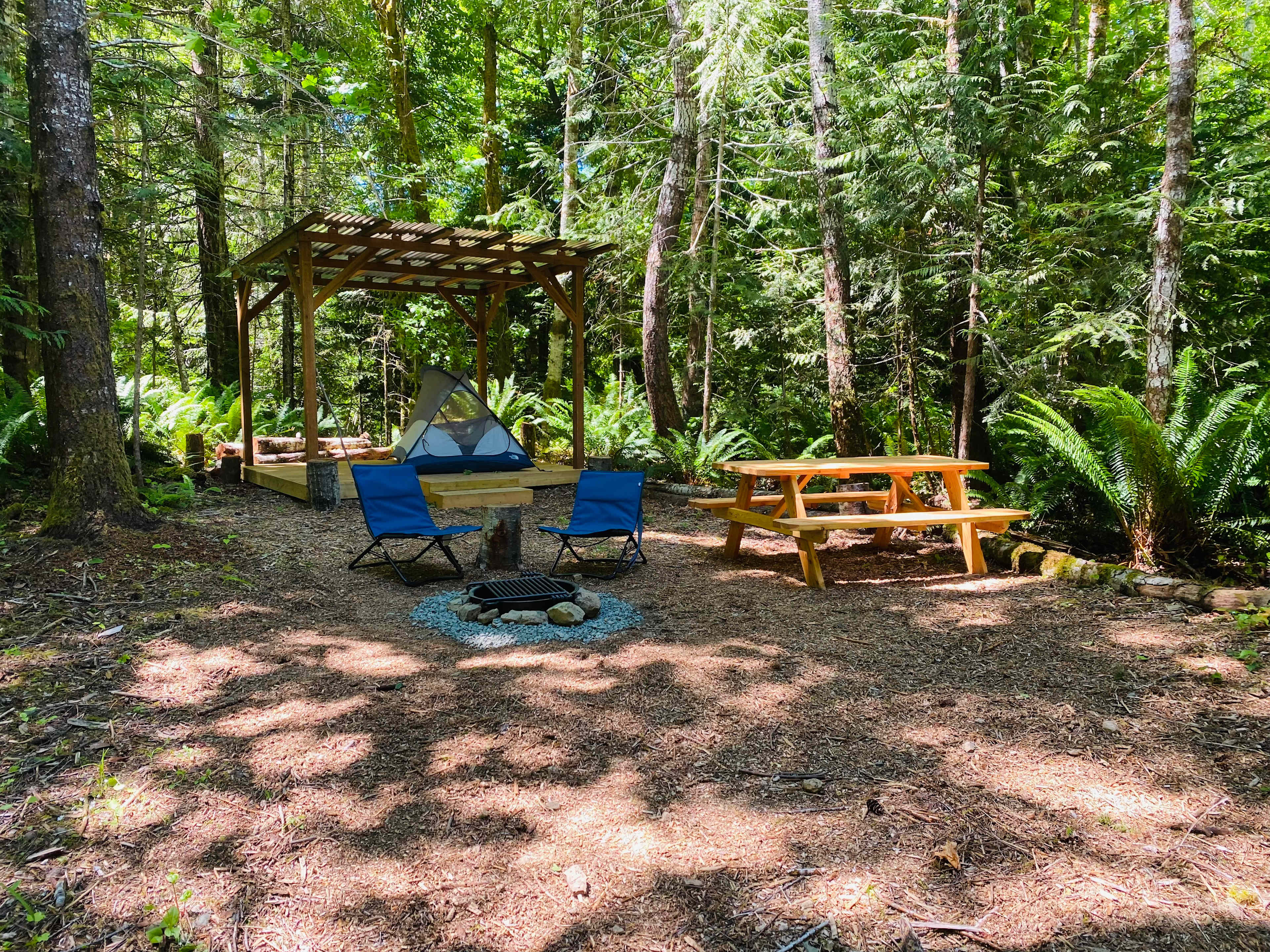 Picture of the site