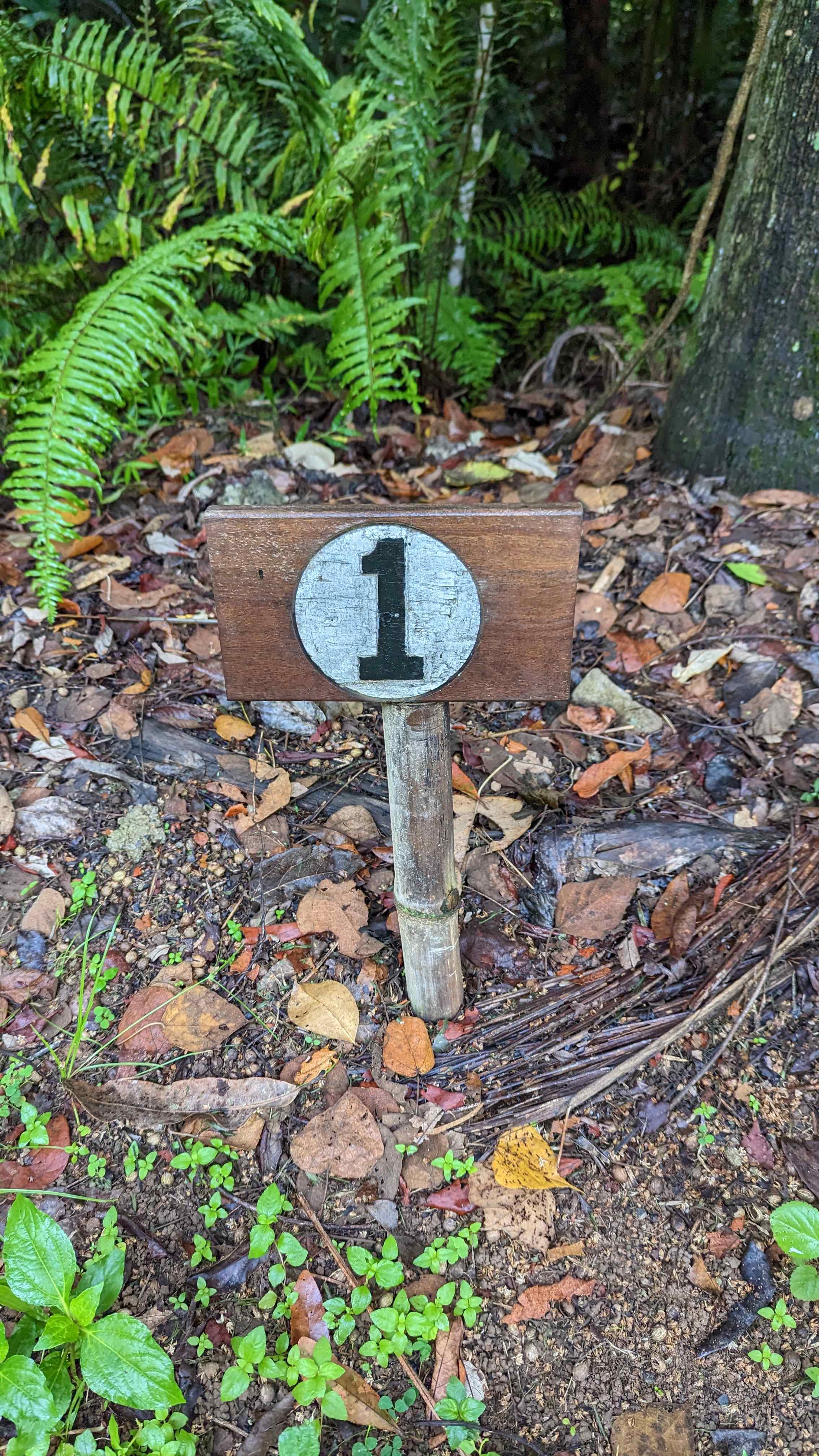 Site 1 sign on forest edge