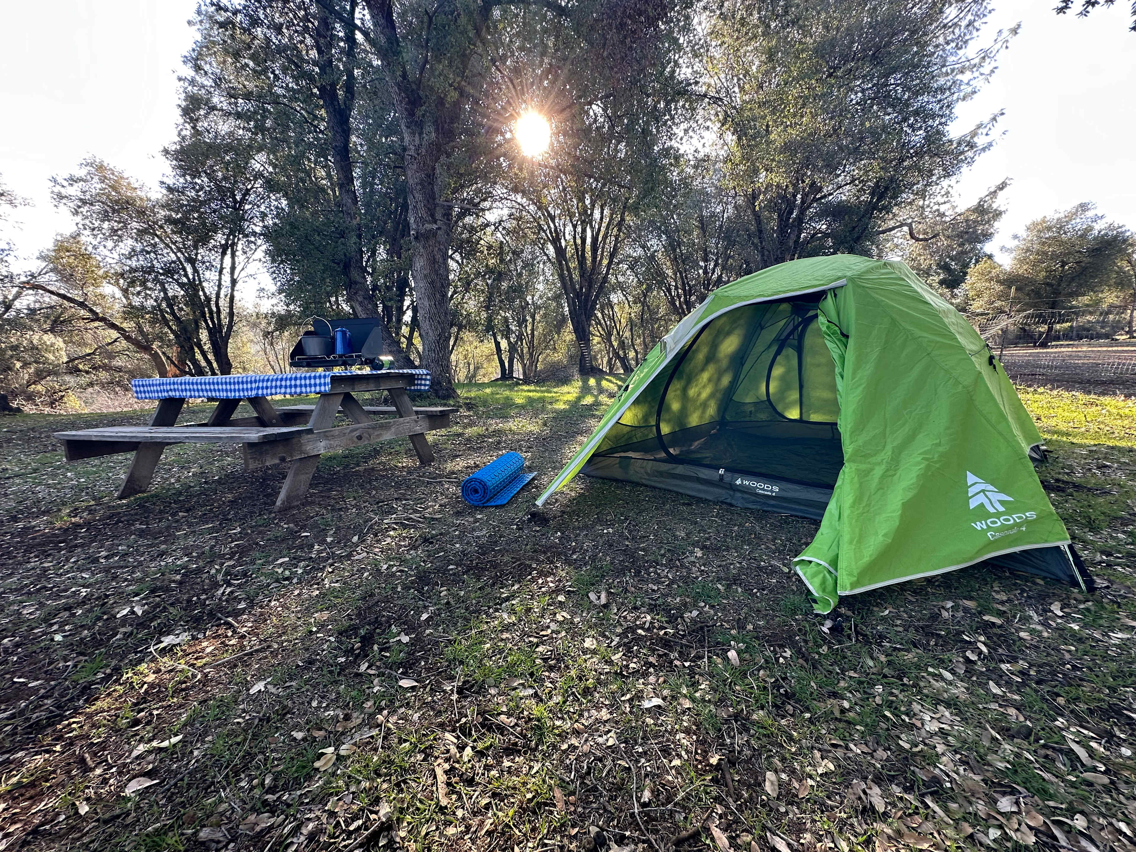 Picture of the site