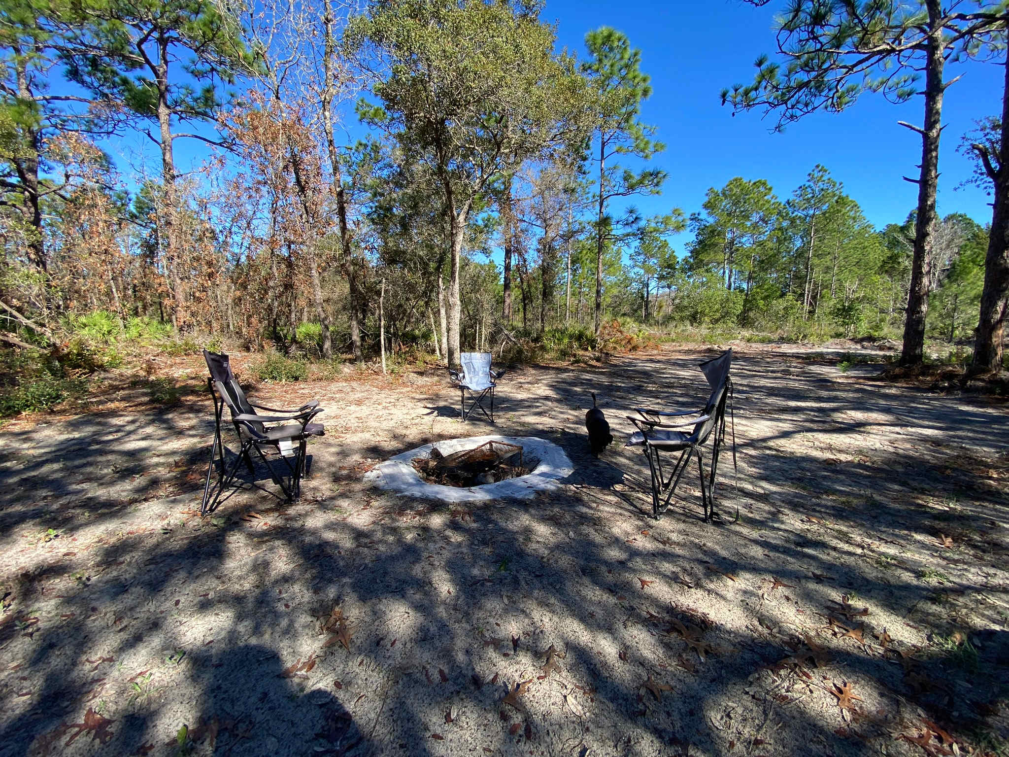 Picture of the site
