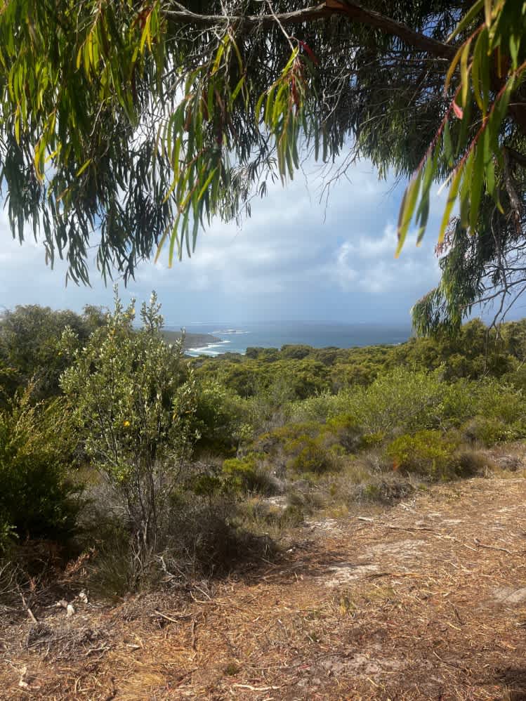 The Salt Cove Camp