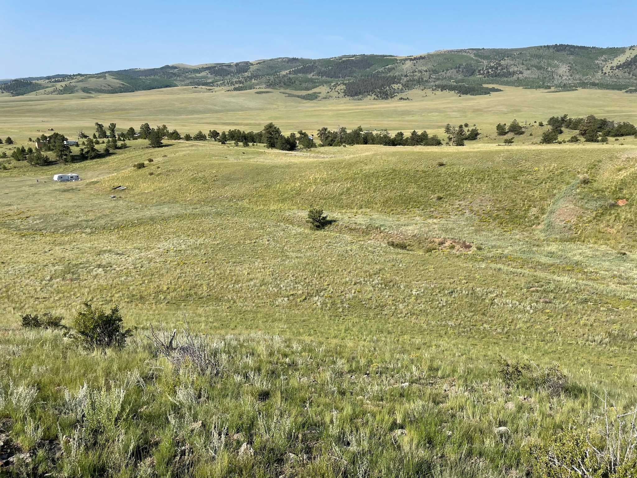 James Mark Jones Wildlife Area

