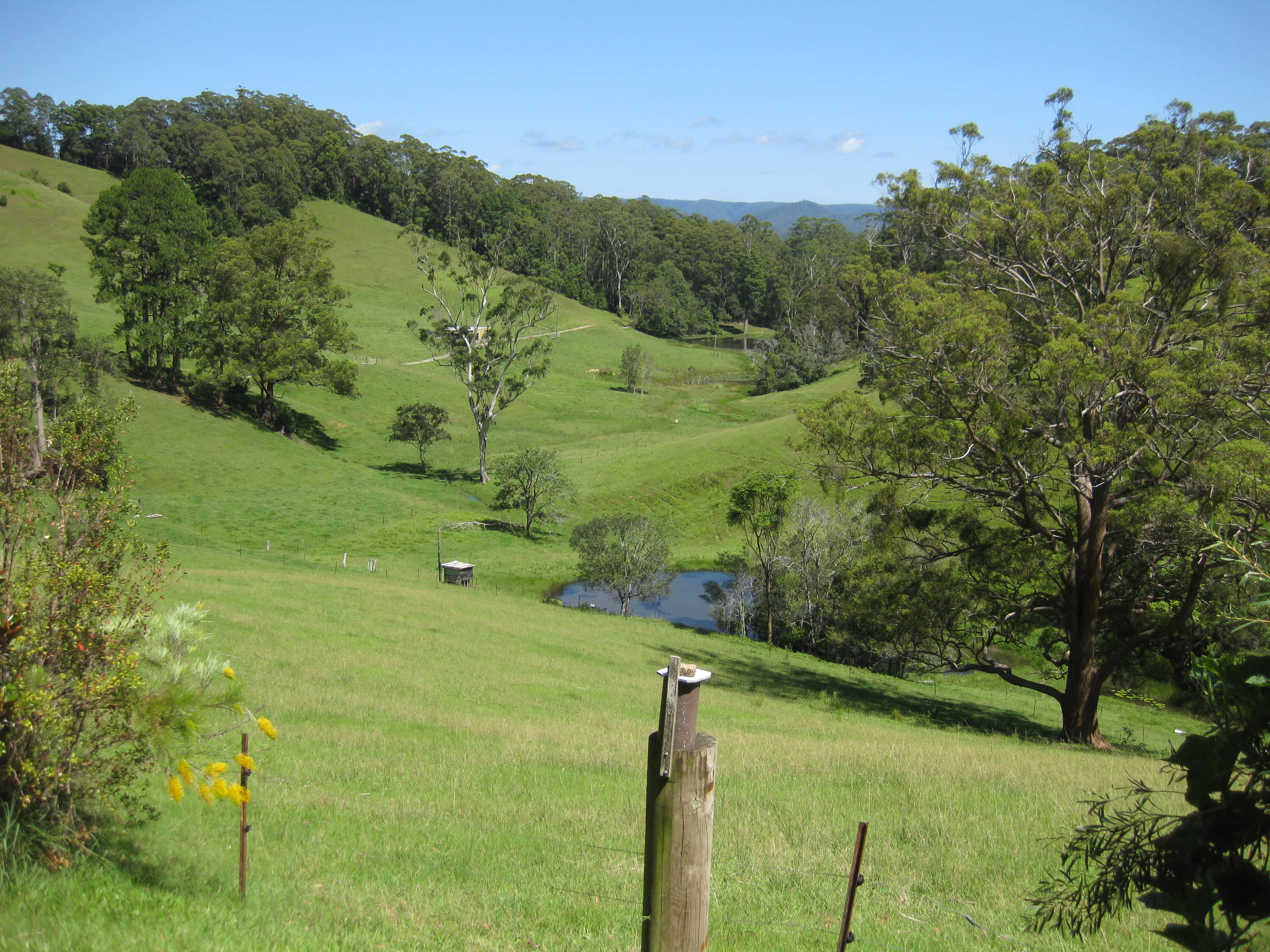 Private valley offering peace and quiet.  Only 2 campsites 5 mins from Coffs Hbr CBD.  Westerly outlook.  Watch the sun set.