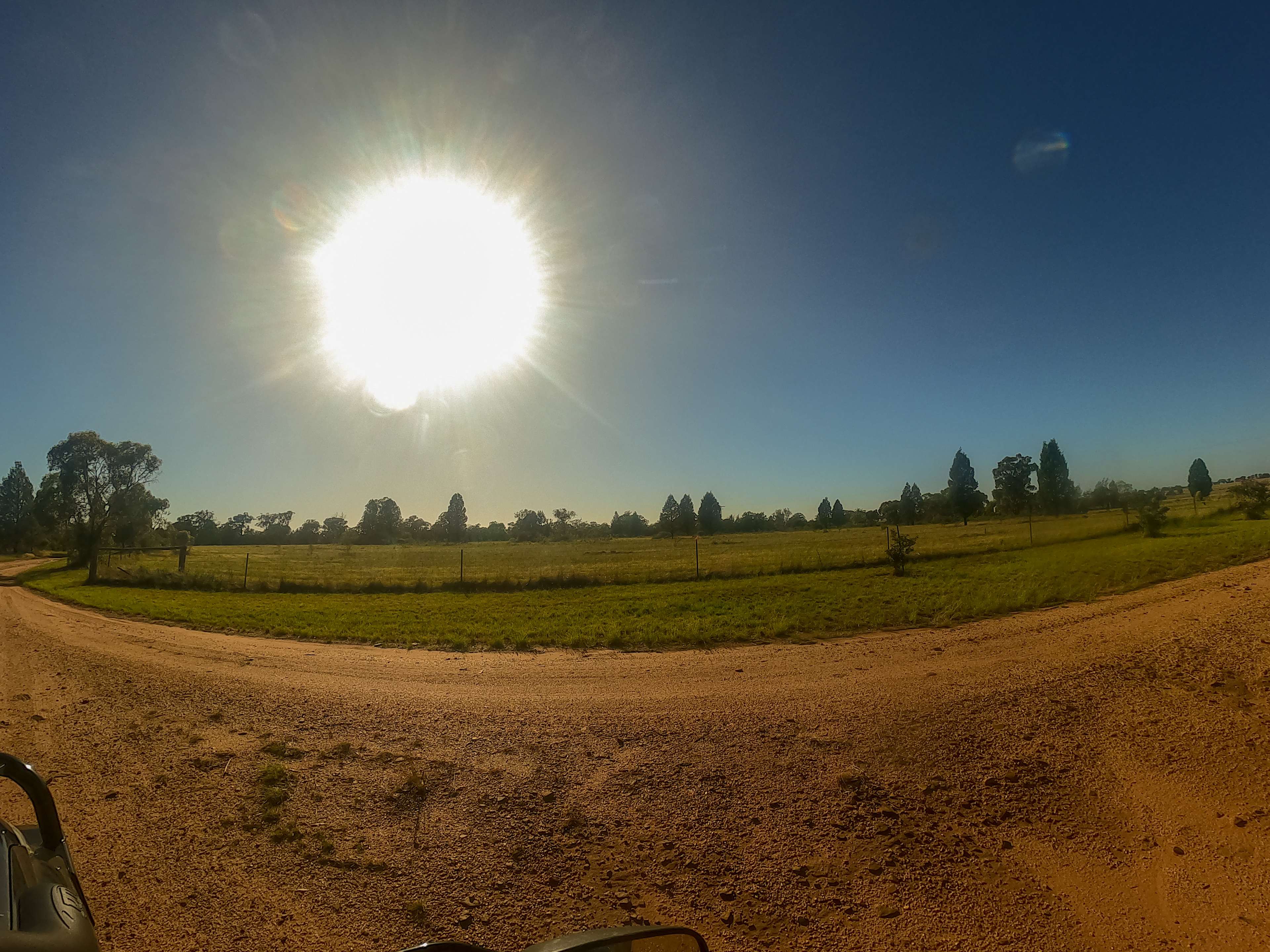 Front paddock