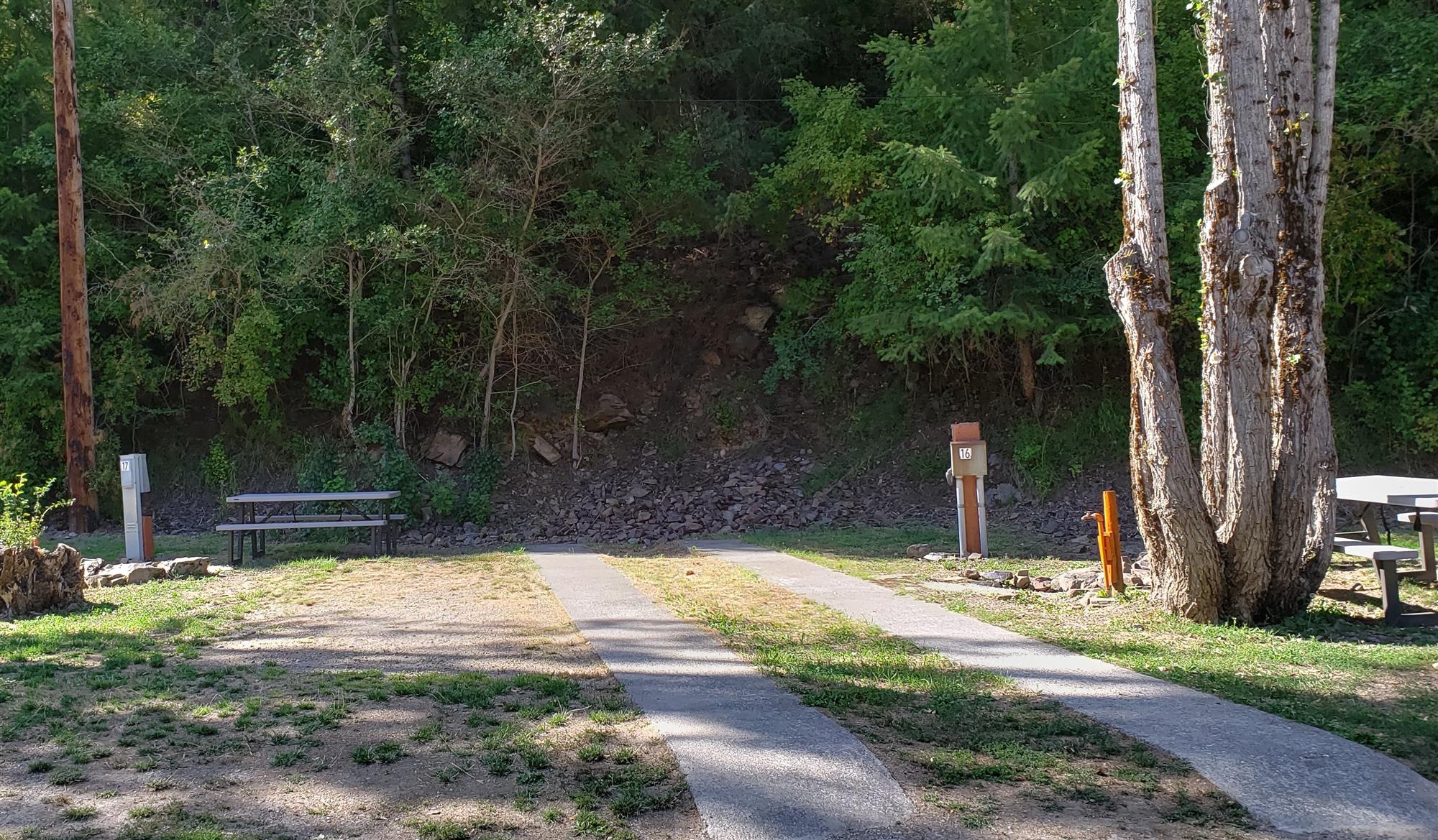 Picture of the site