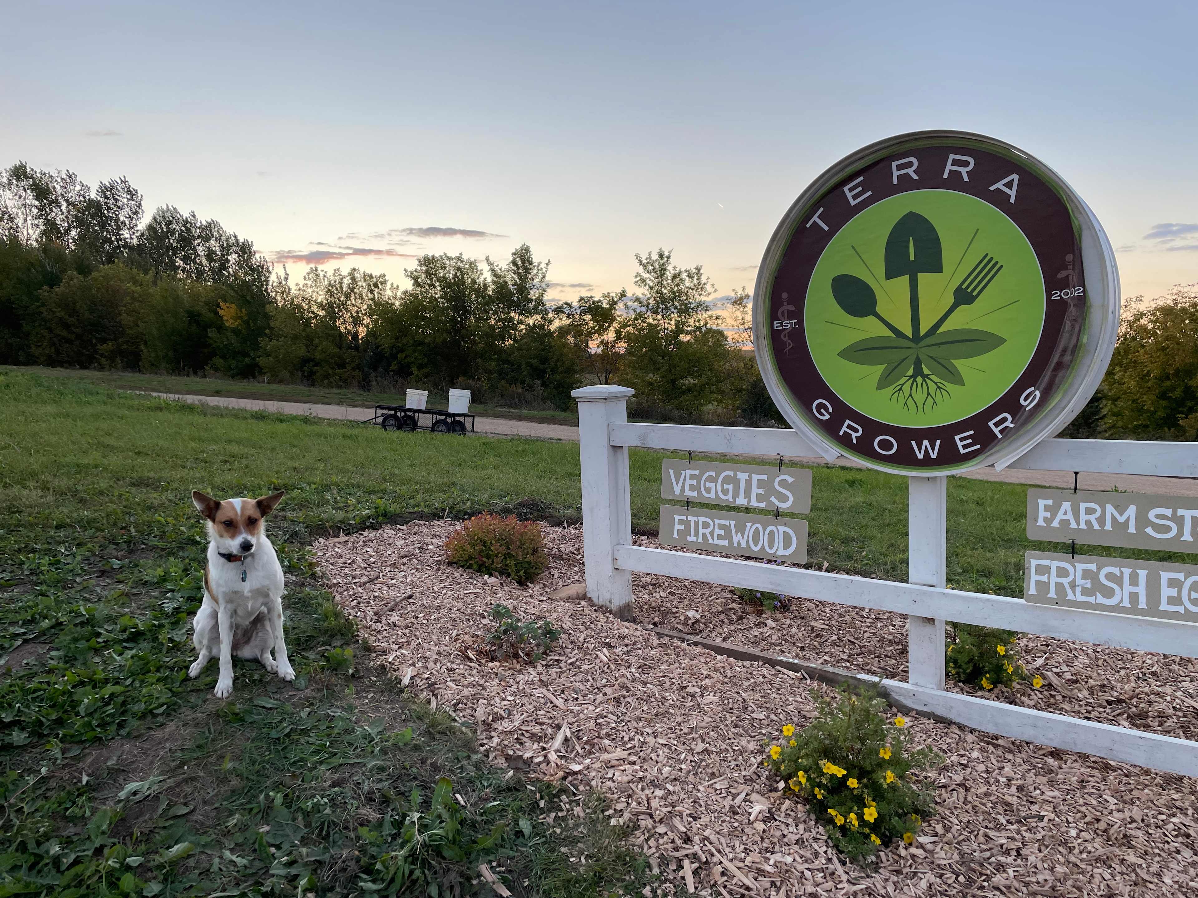 Terra Growers Organic Farm