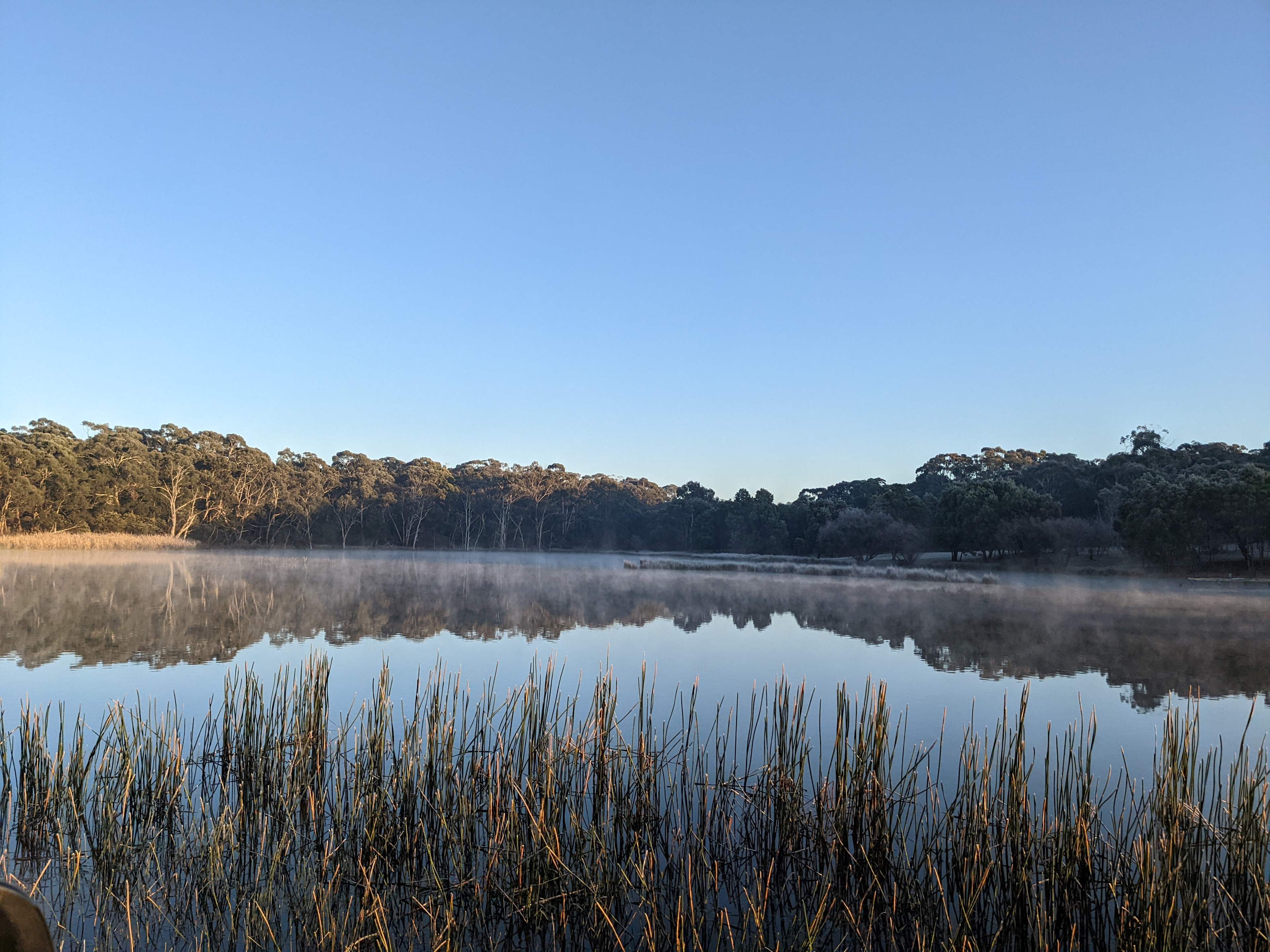 Lancefield Lake's A WETLANDS WONDER