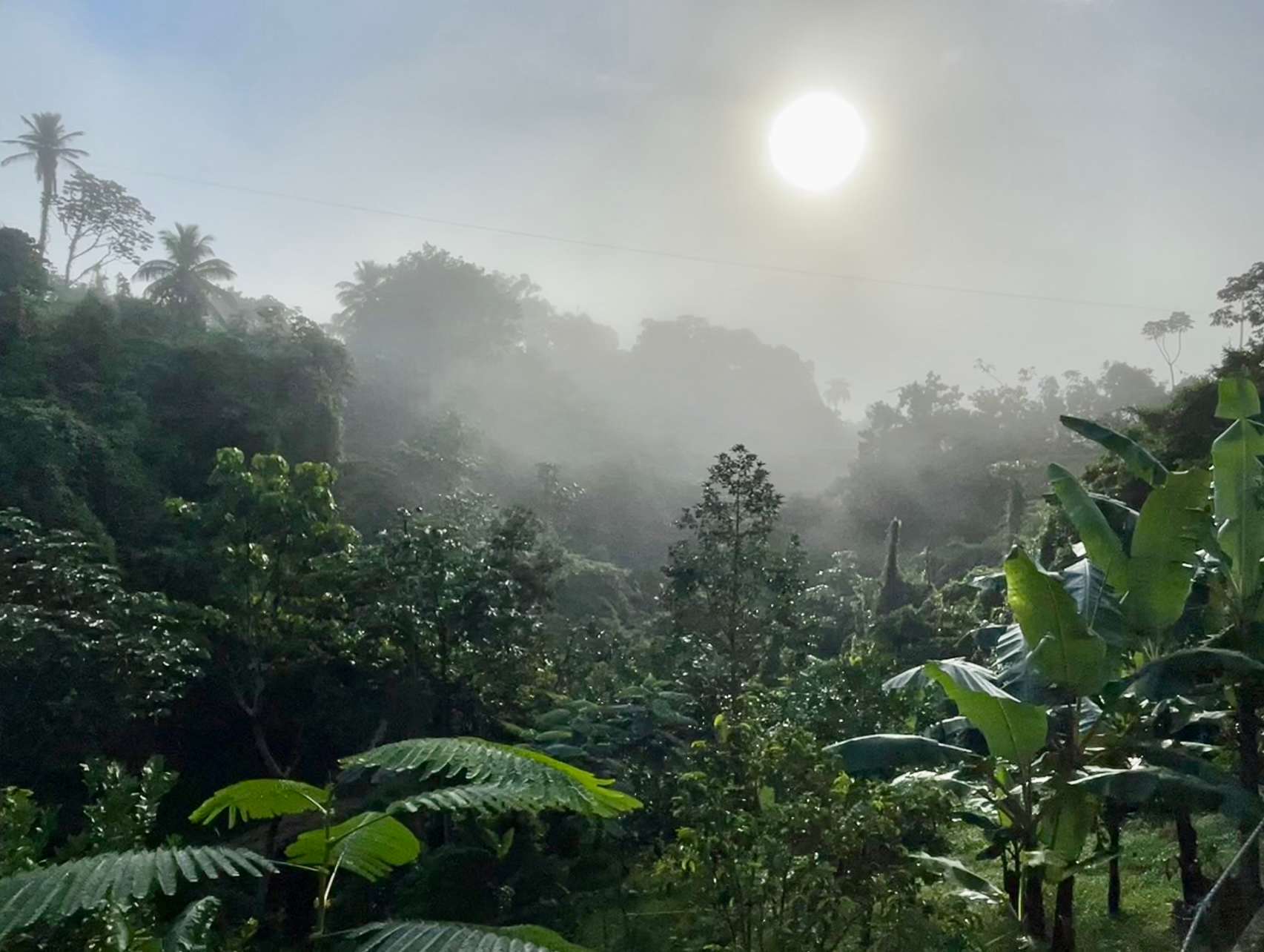 The misty mornings are breathtaking, and yet the cleanest fresh air you can enjoy. Great for exercising and relaxing. 