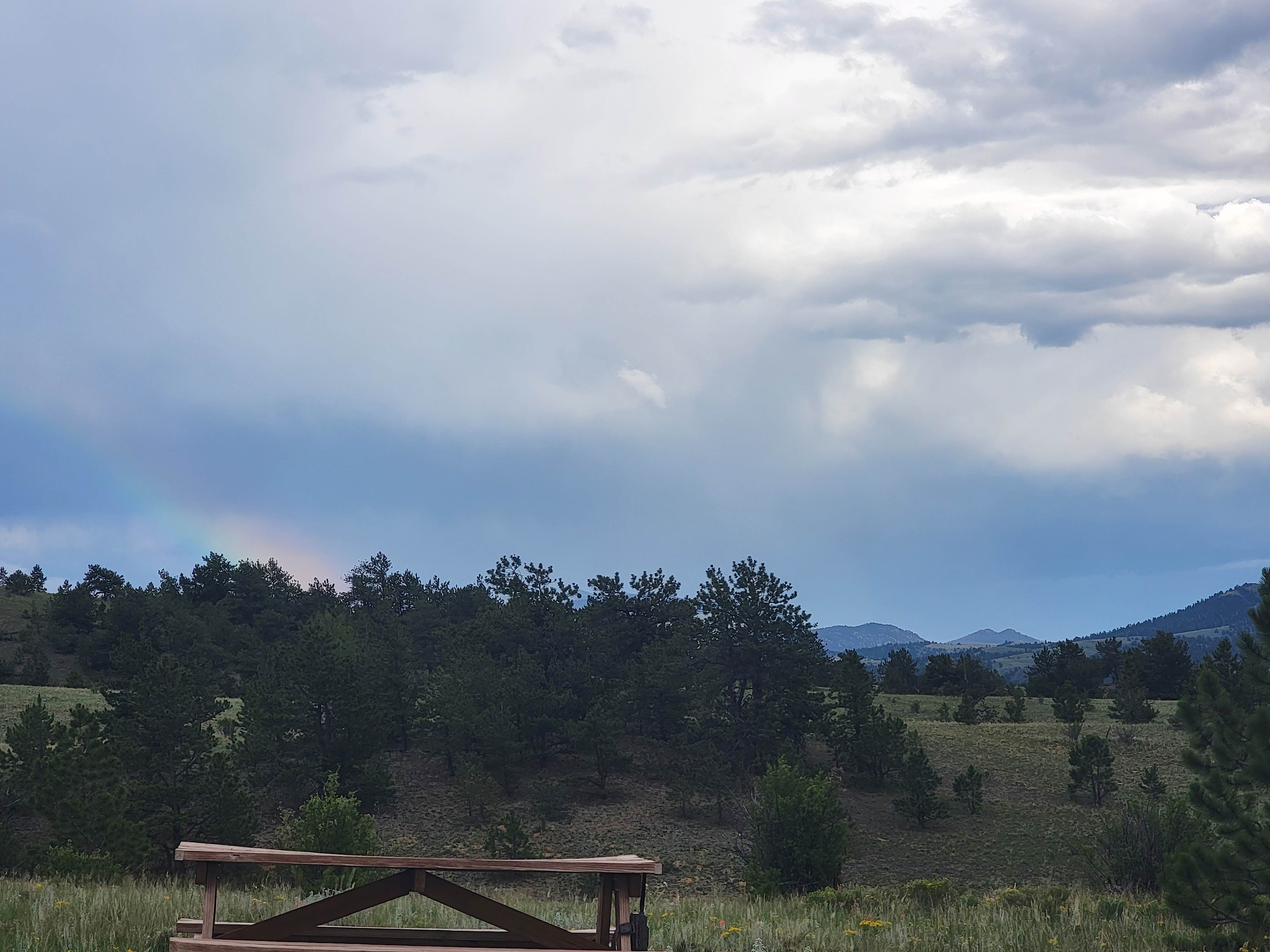 Bearadise Acres