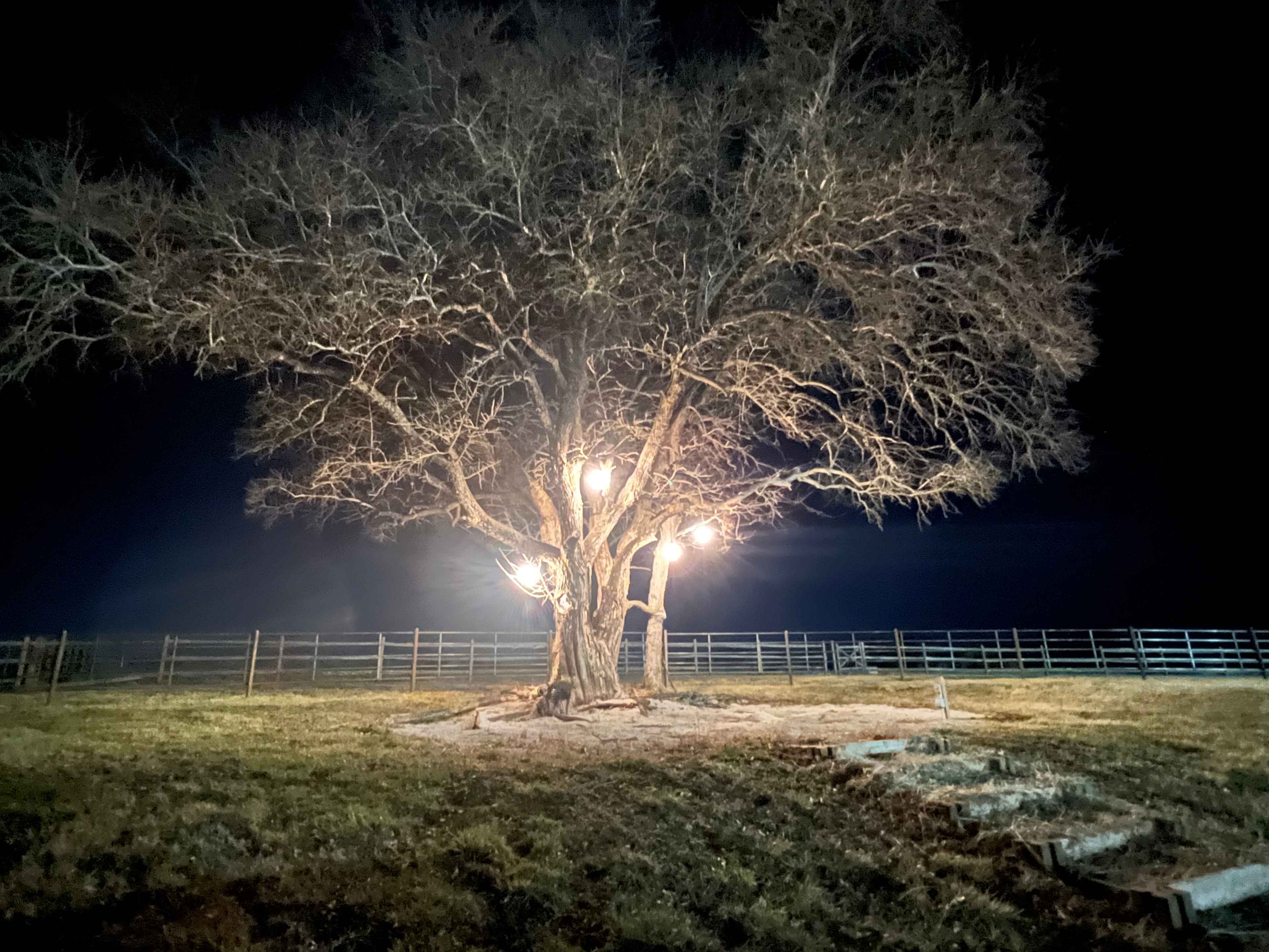 Treloar Ranch
