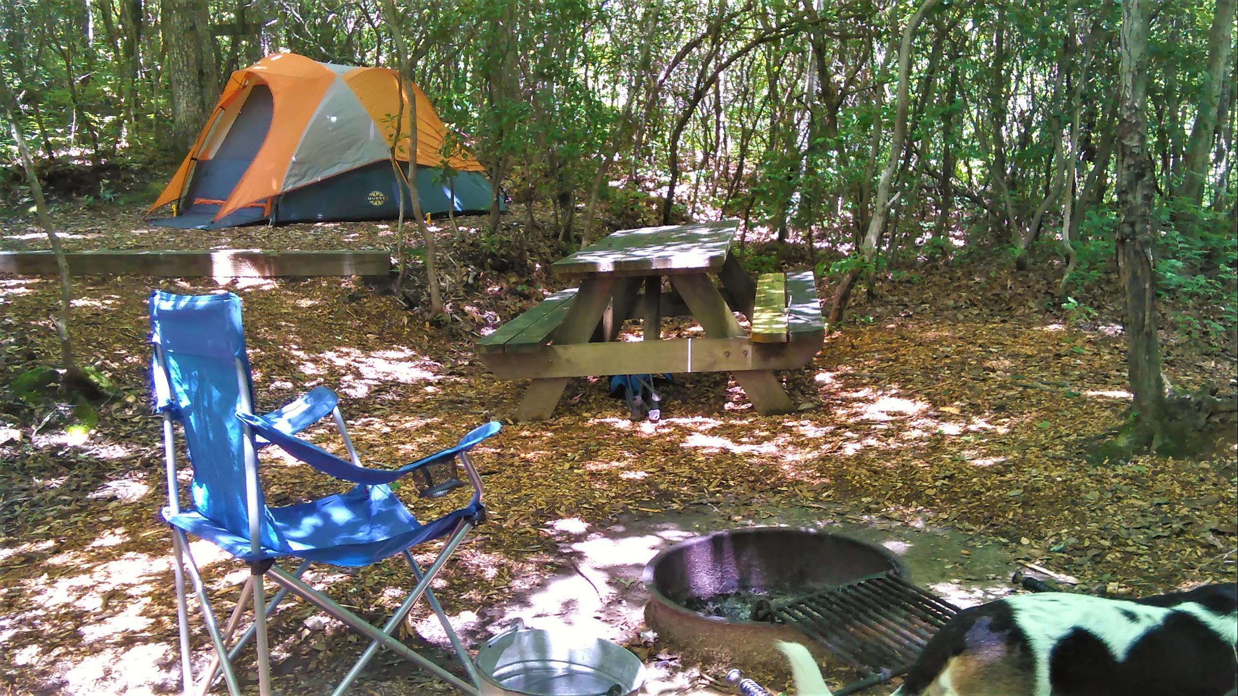 Picture of the site