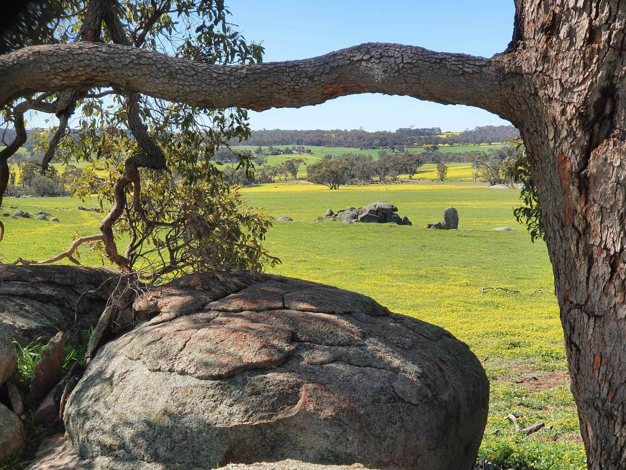 Peaceful Valley Farm