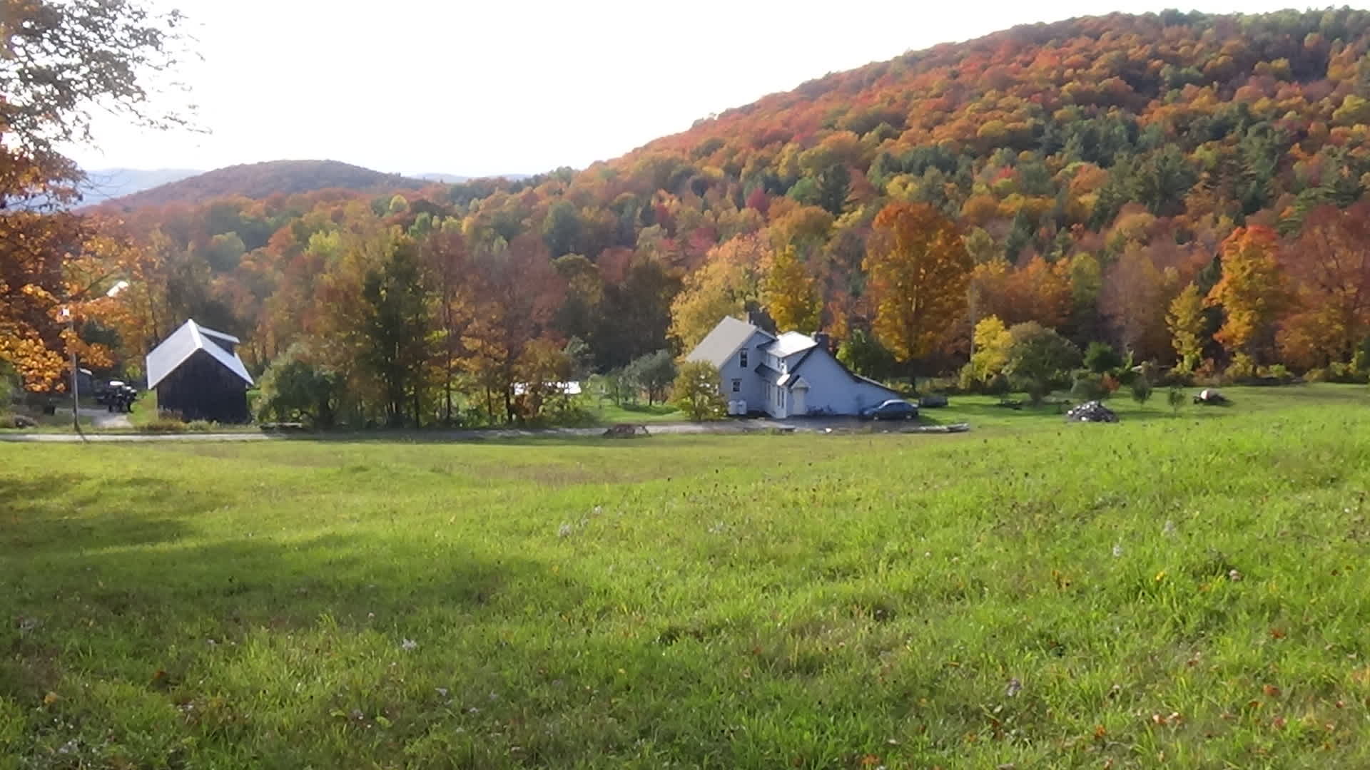 Moody Hill Homestead