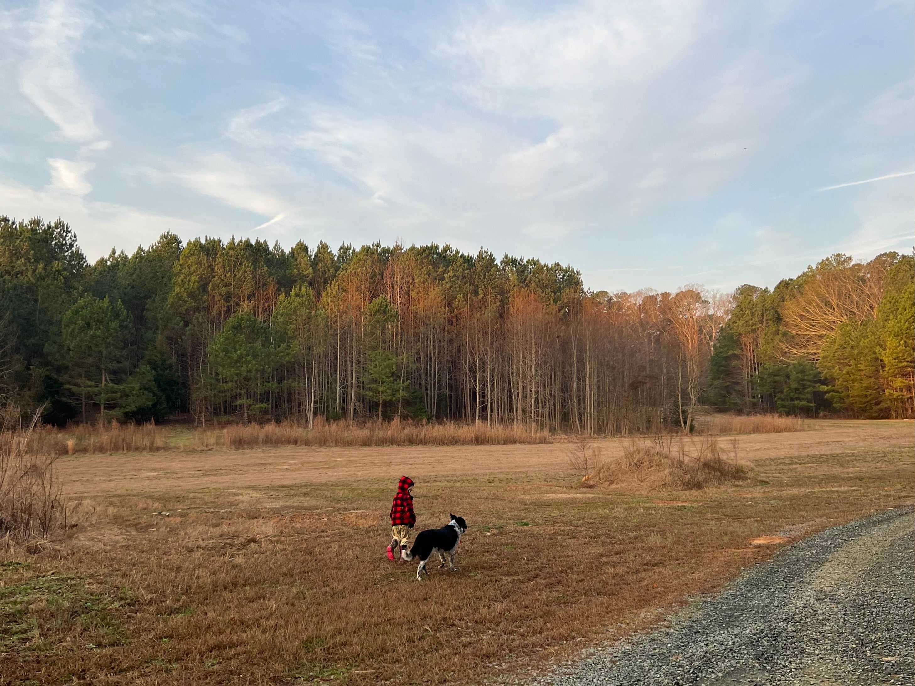 Rural Chapel Hill Forestry Stay