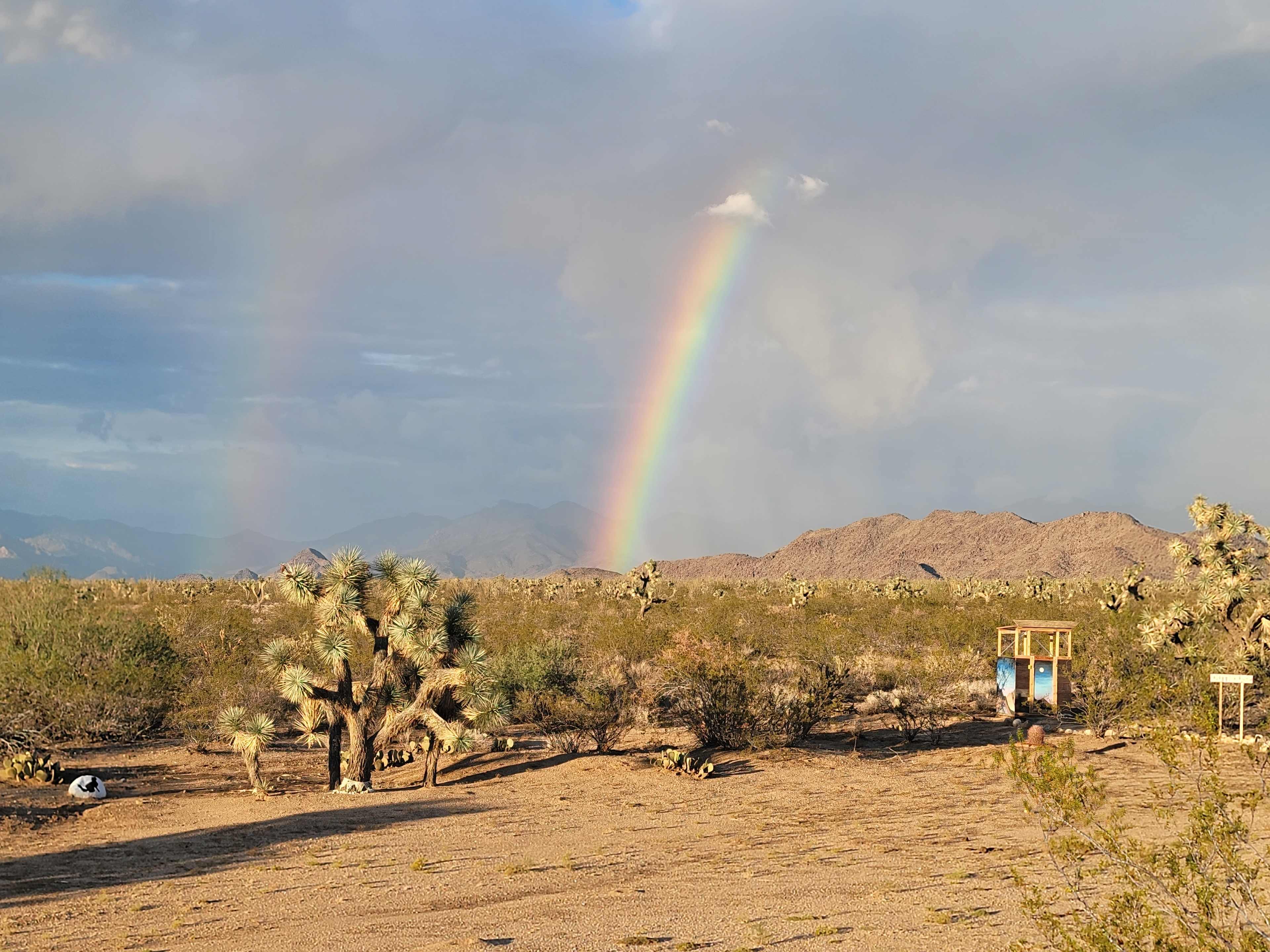 Magic in the Mohave