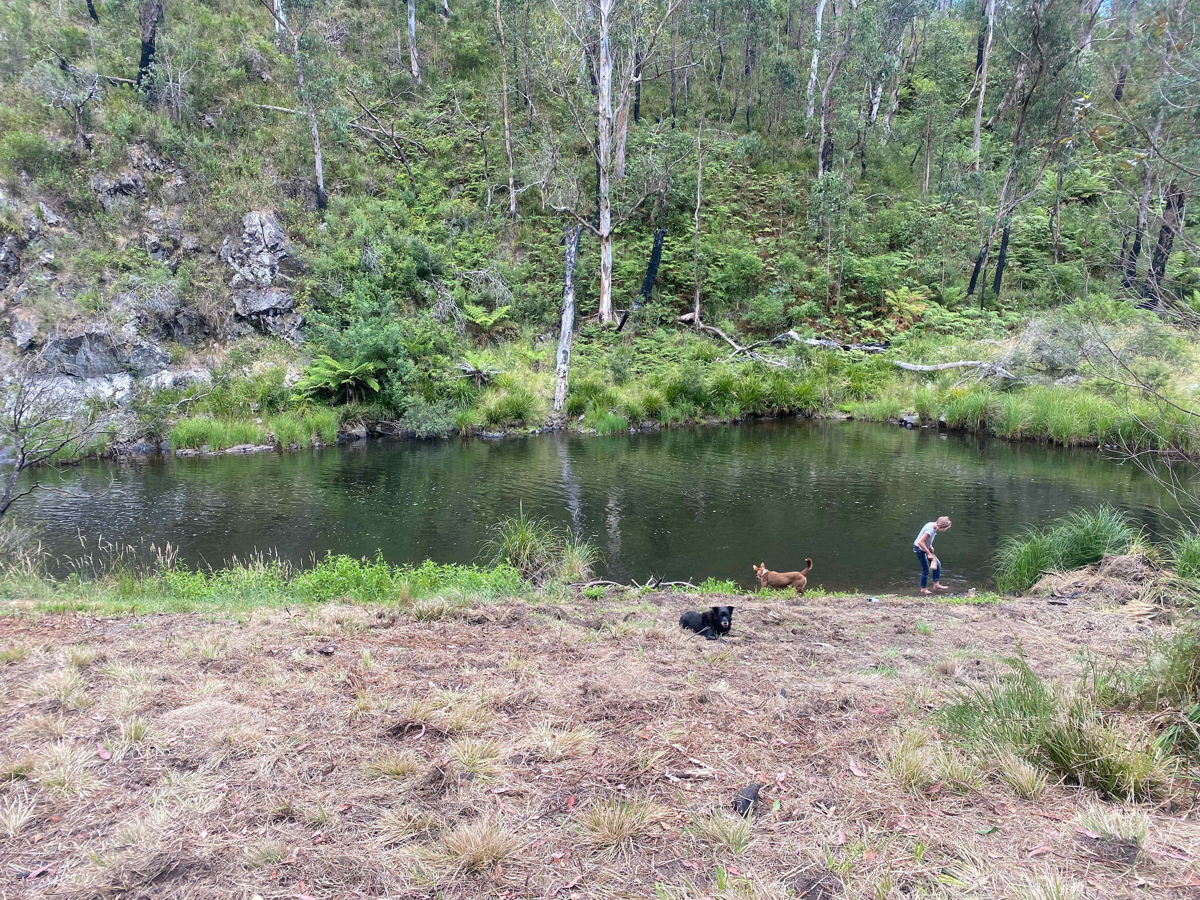 The Hylands Wilderness Retreat