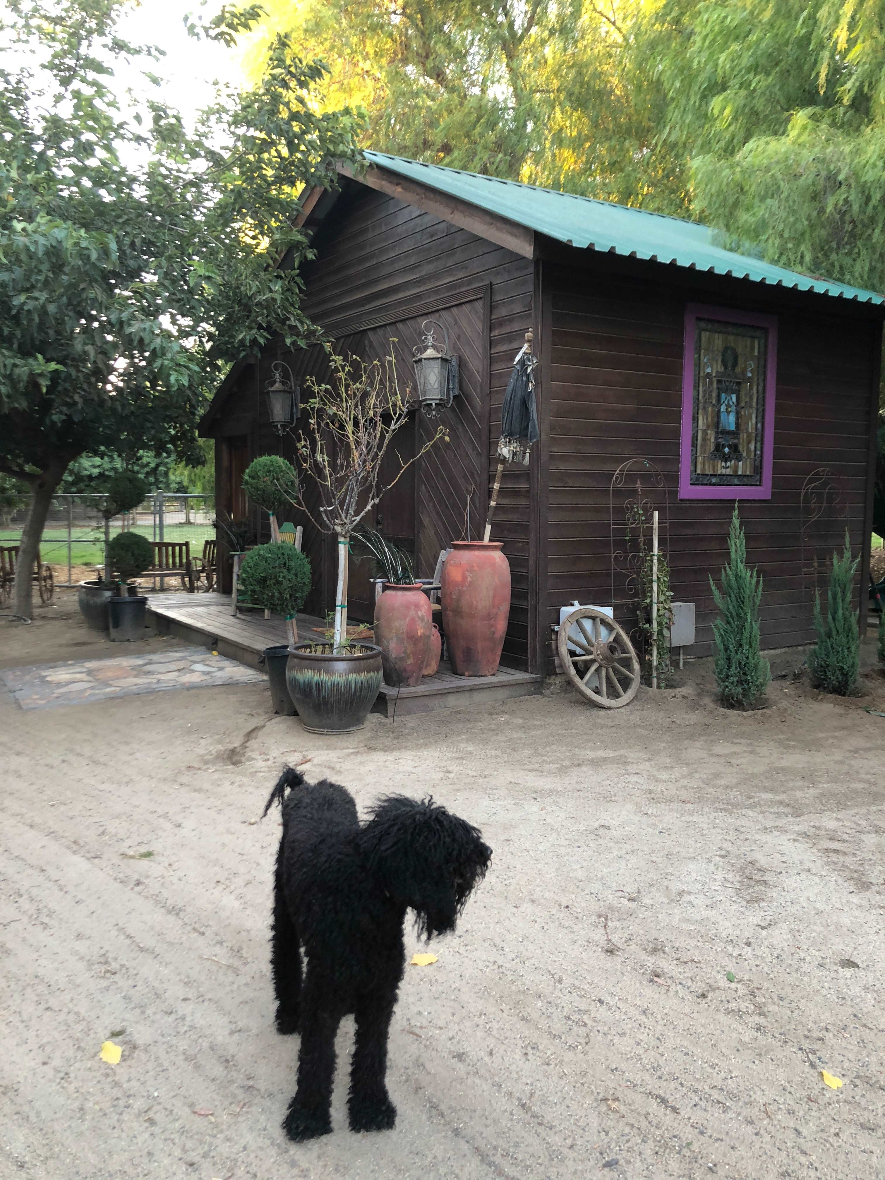 Hay Barn on Working Sheep Ranch