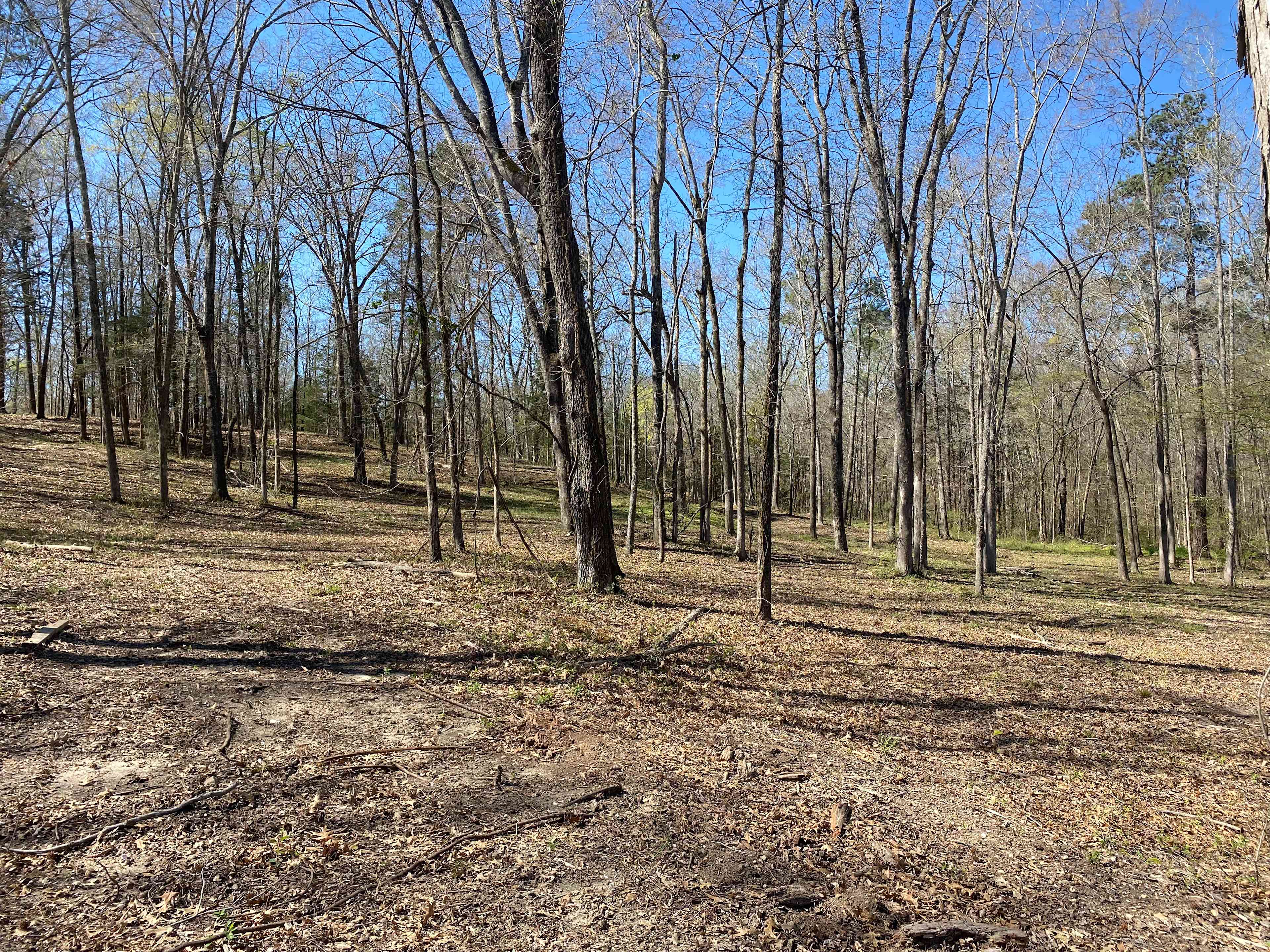 Reedy Tent Retreat