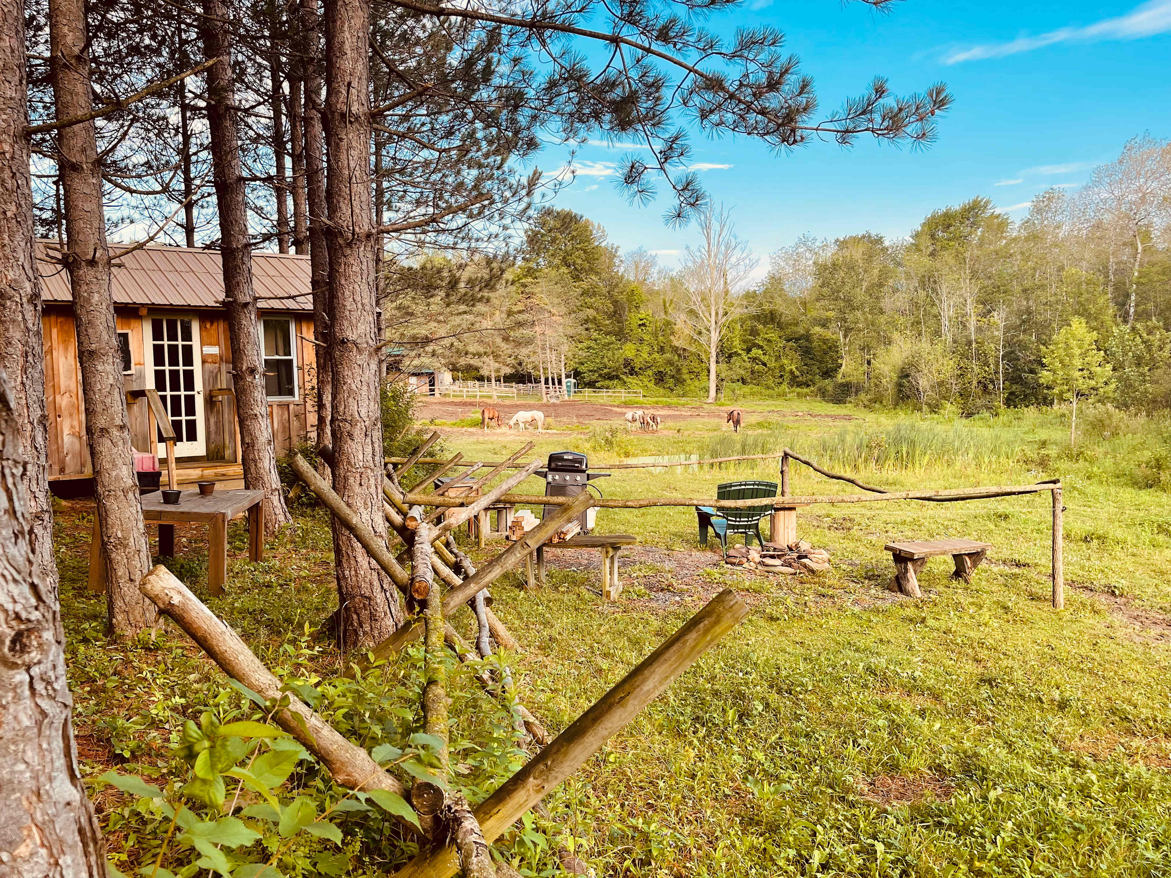 Picture of the site
