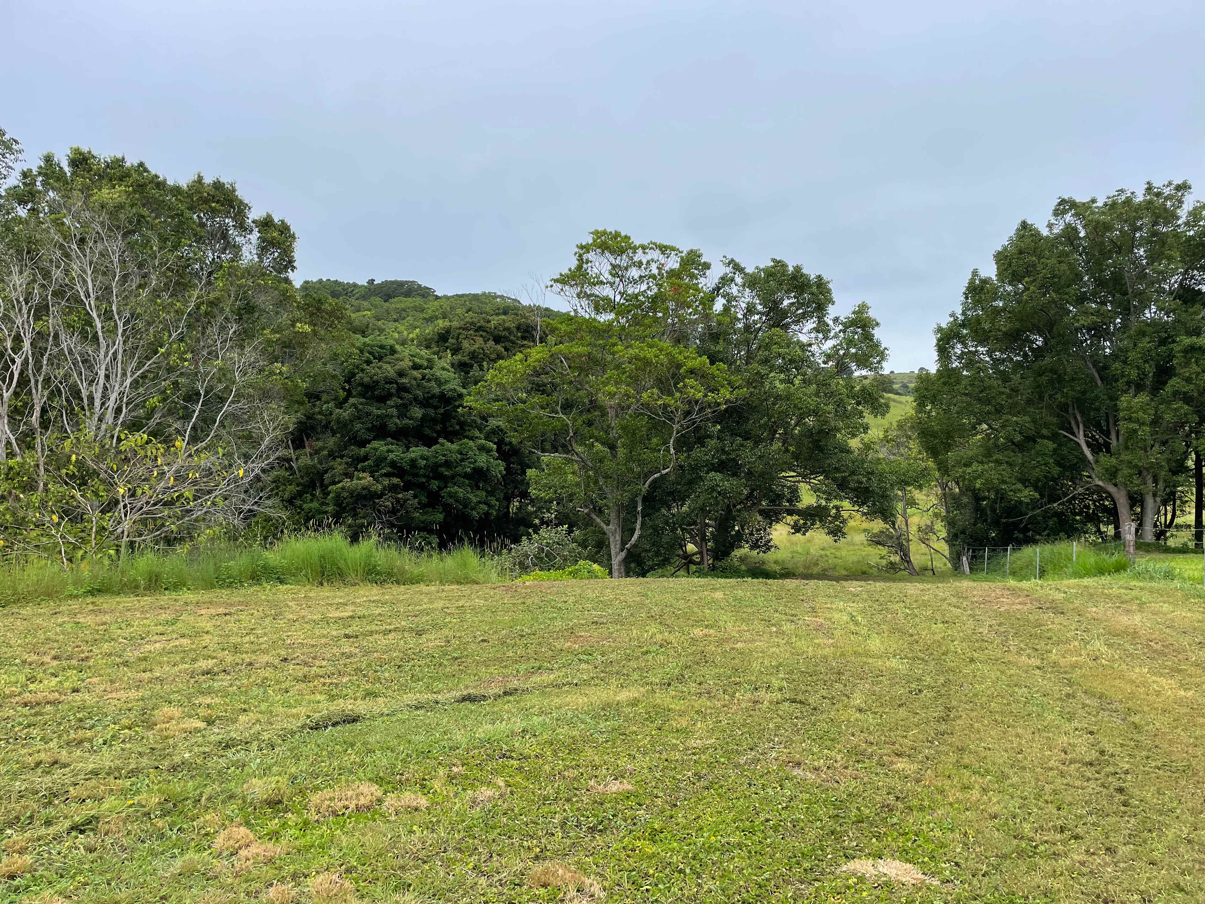 Amani Acres
