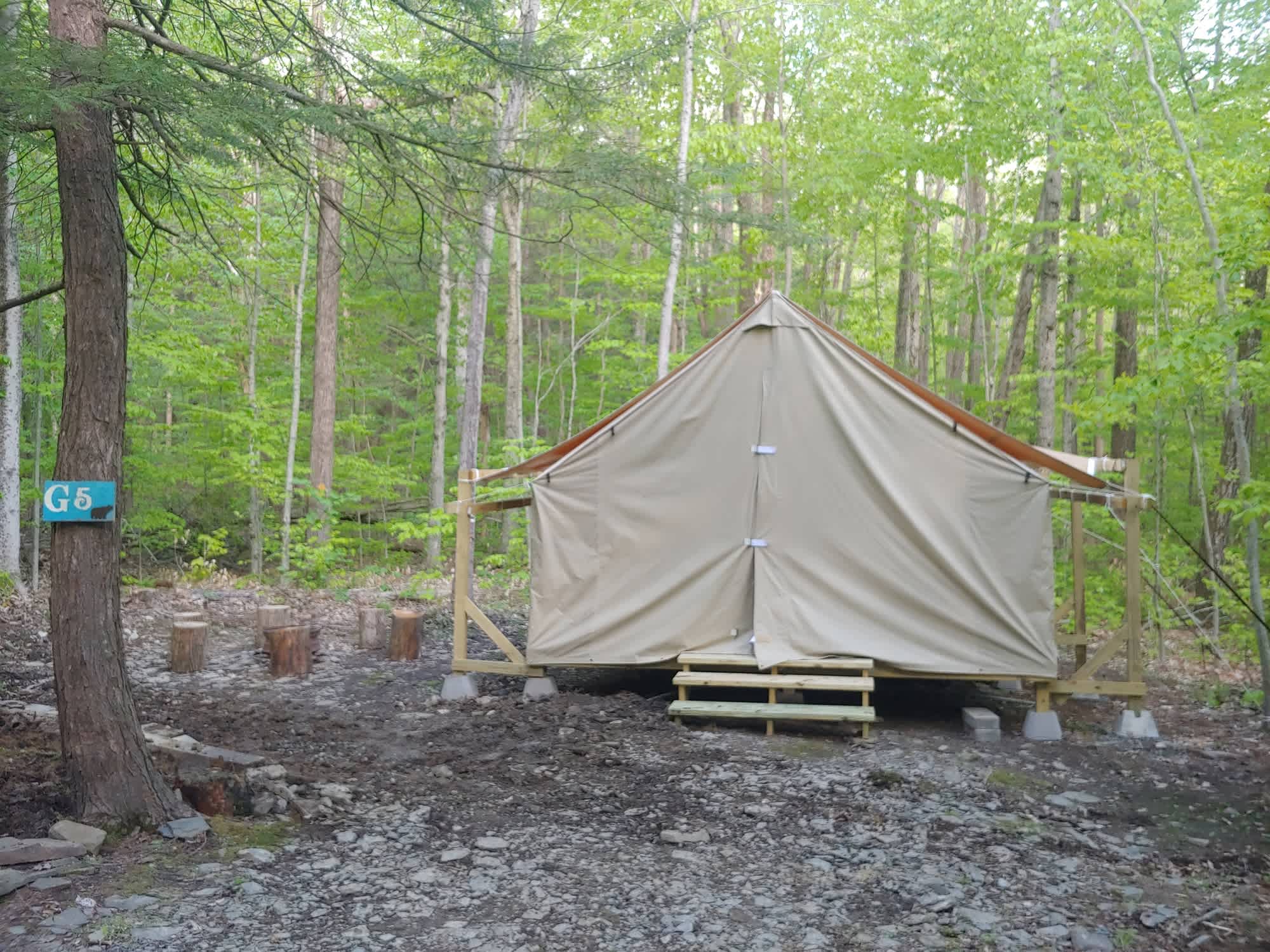 Picture of the site
