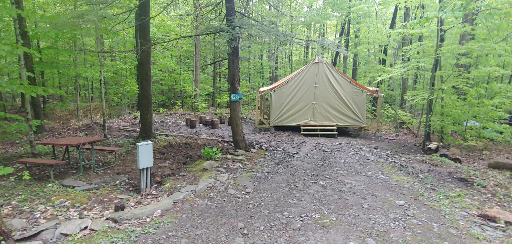 Picture of the site