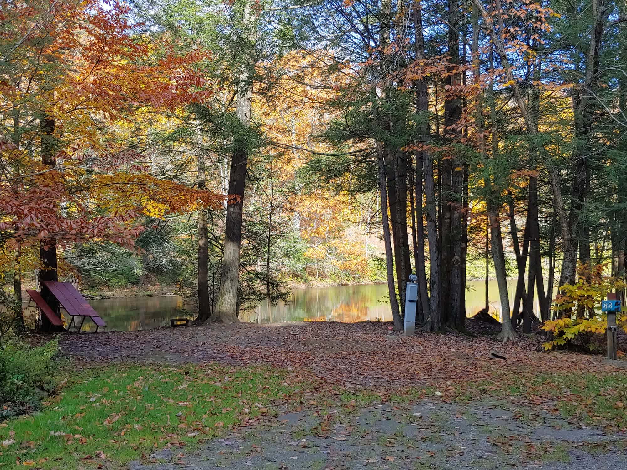 Picture of the site