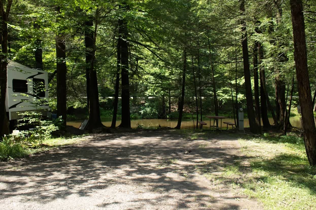 Picture of the site