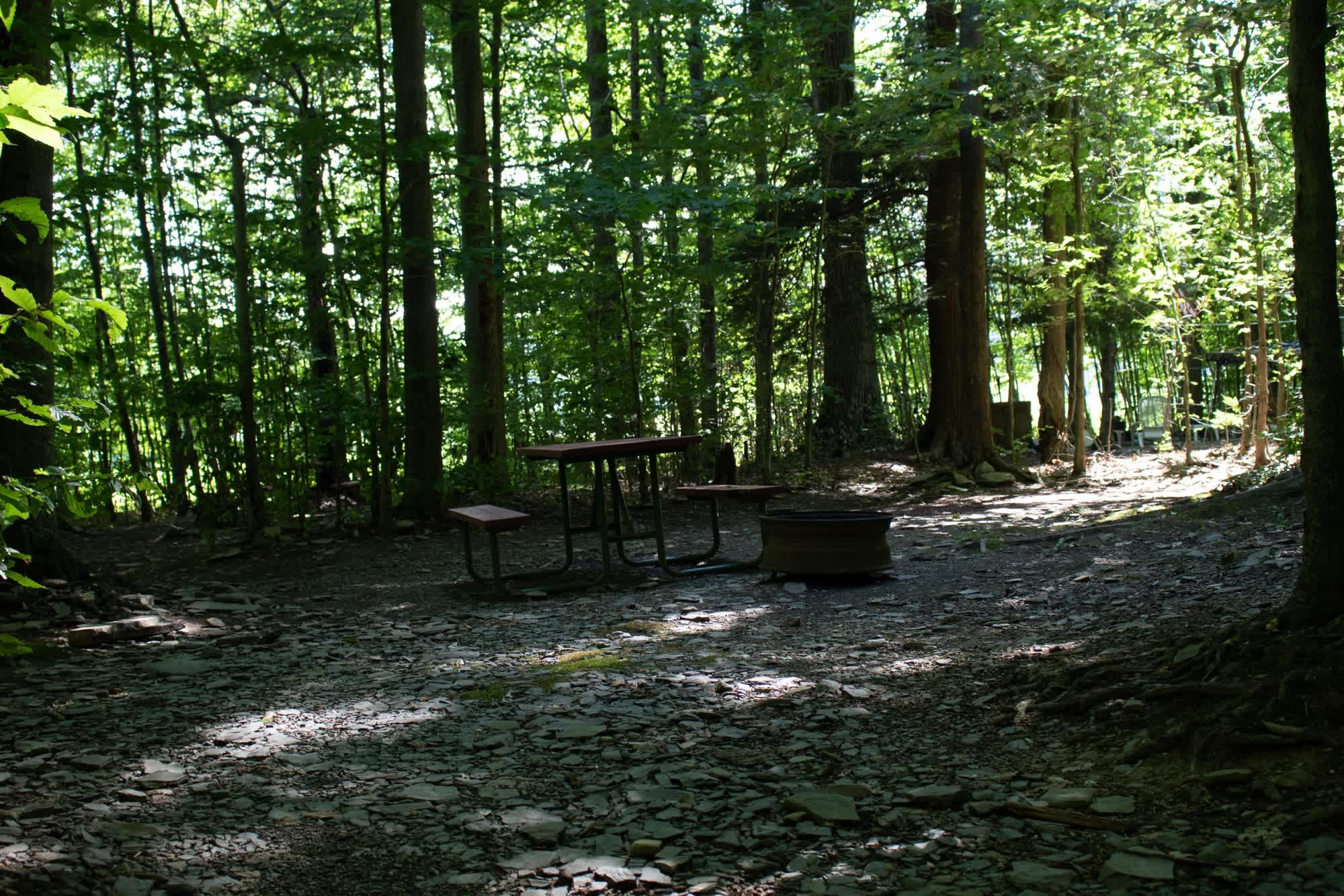 Picture of the site