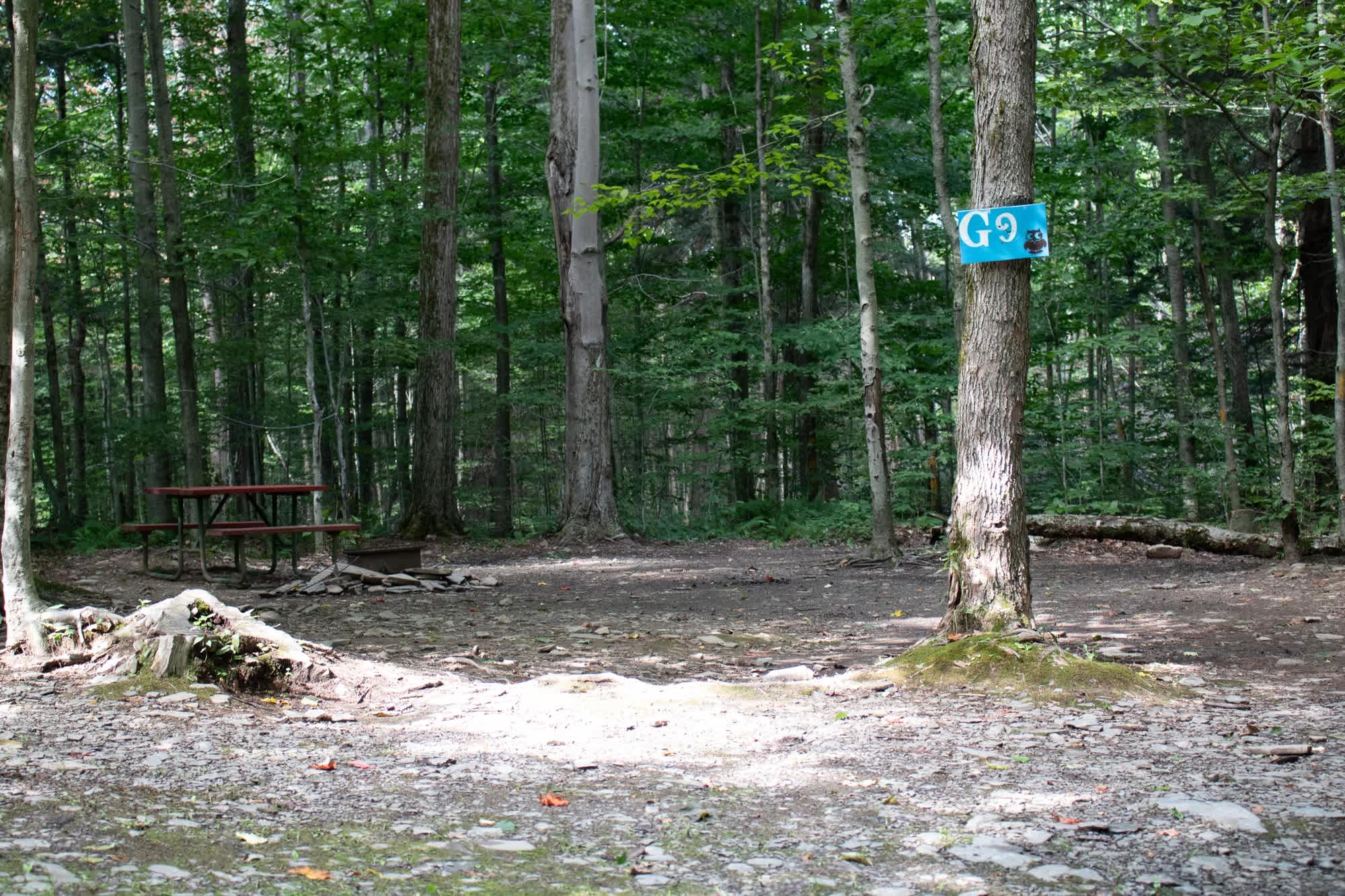 Picture of the site