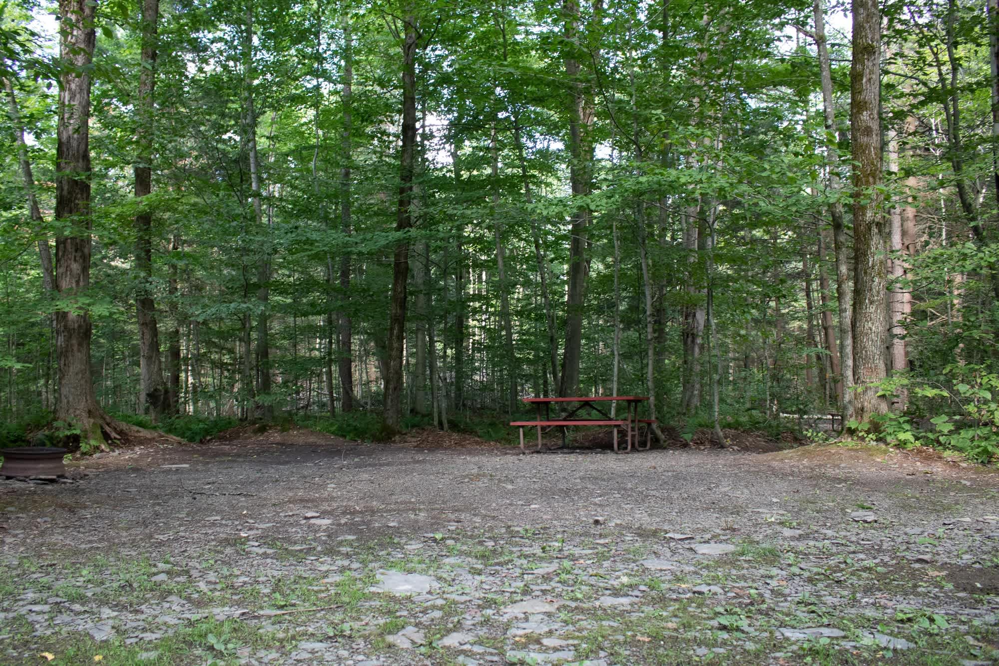 Picture of the site