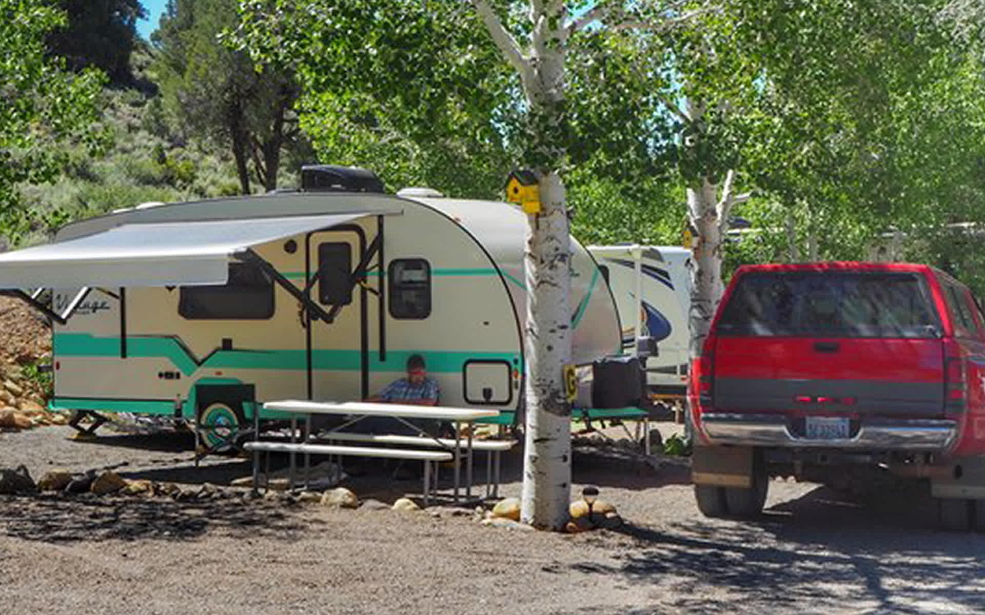 Picture of the site