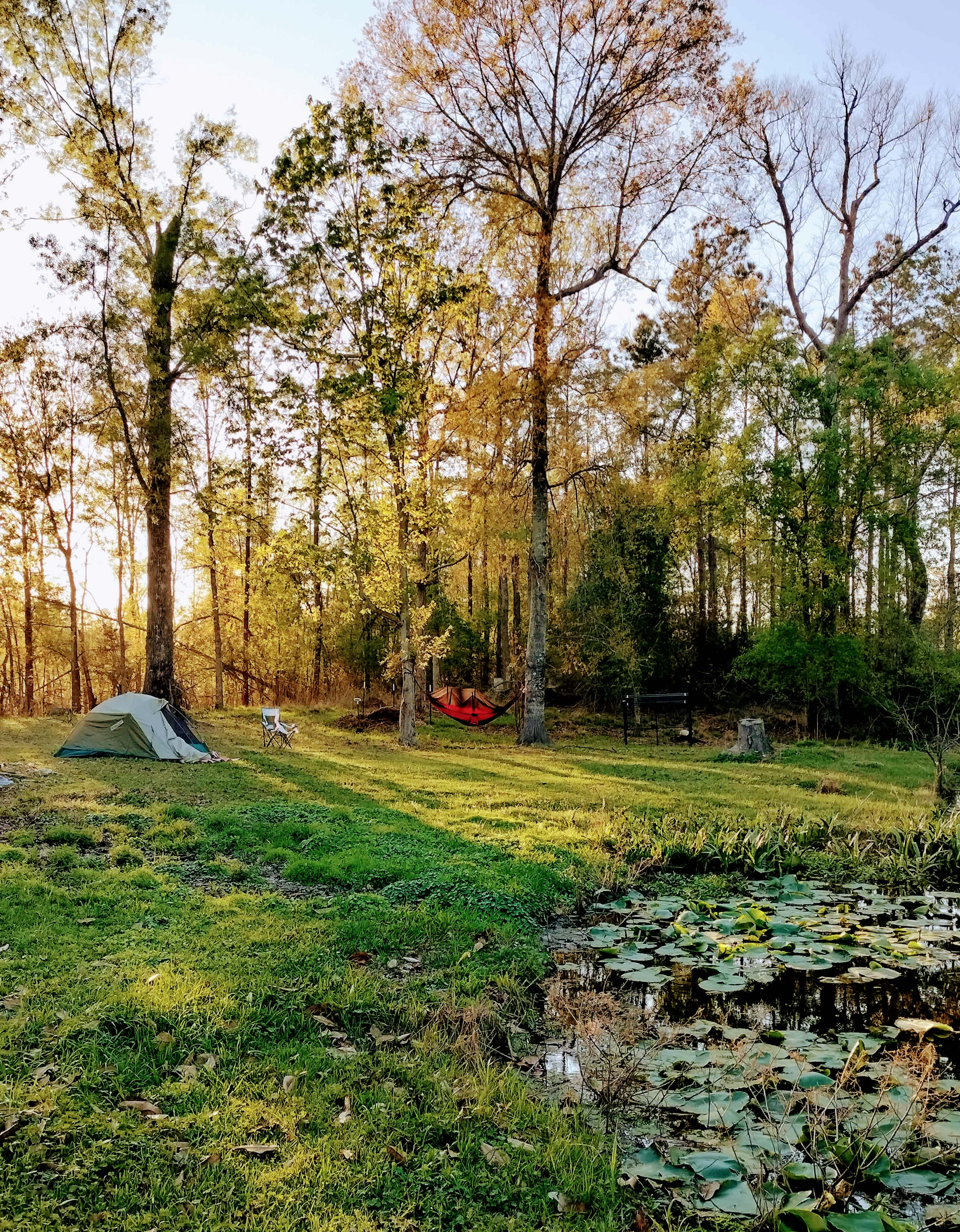 Picture of the site