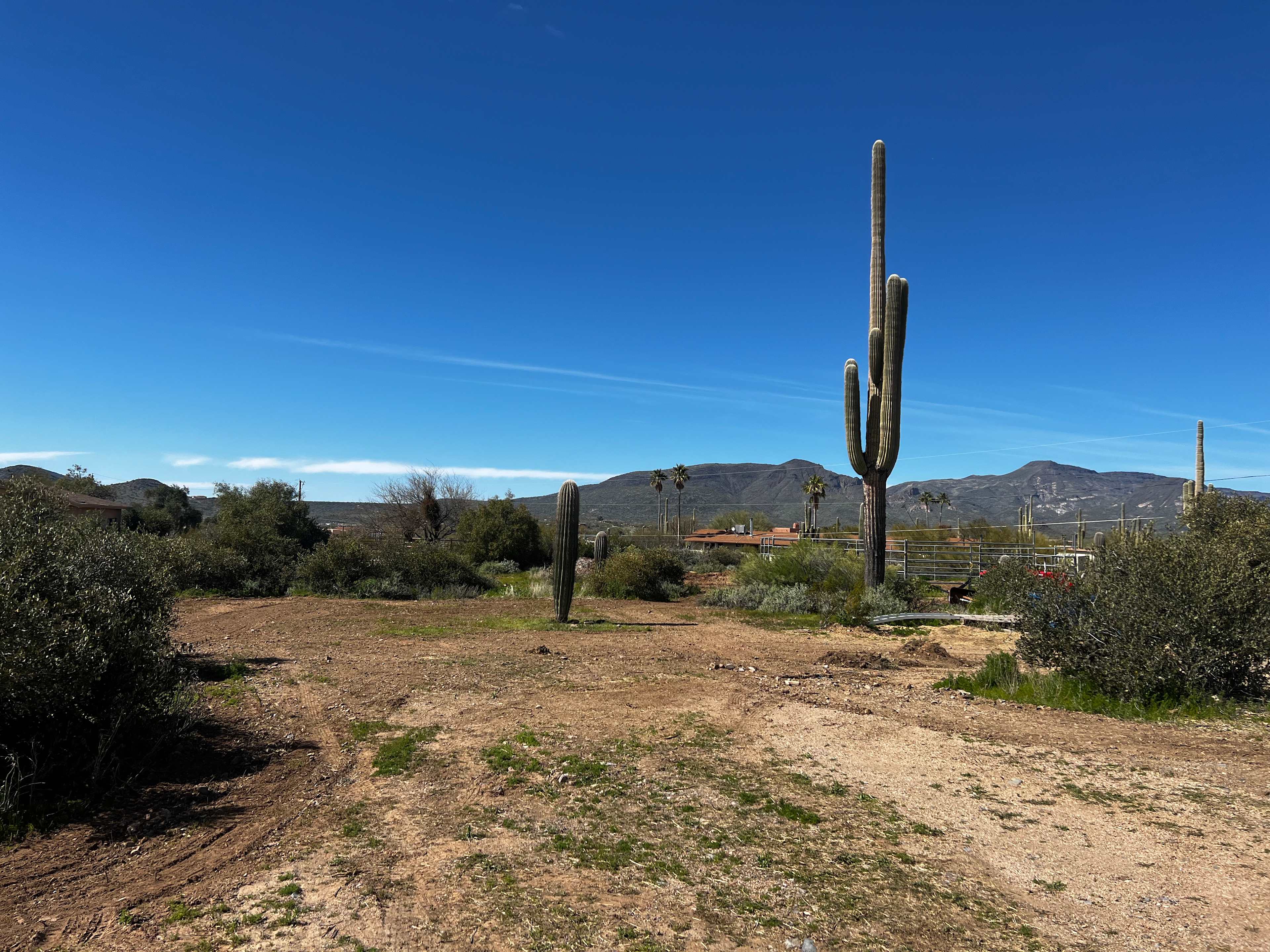 Large flat area for tents or campers
