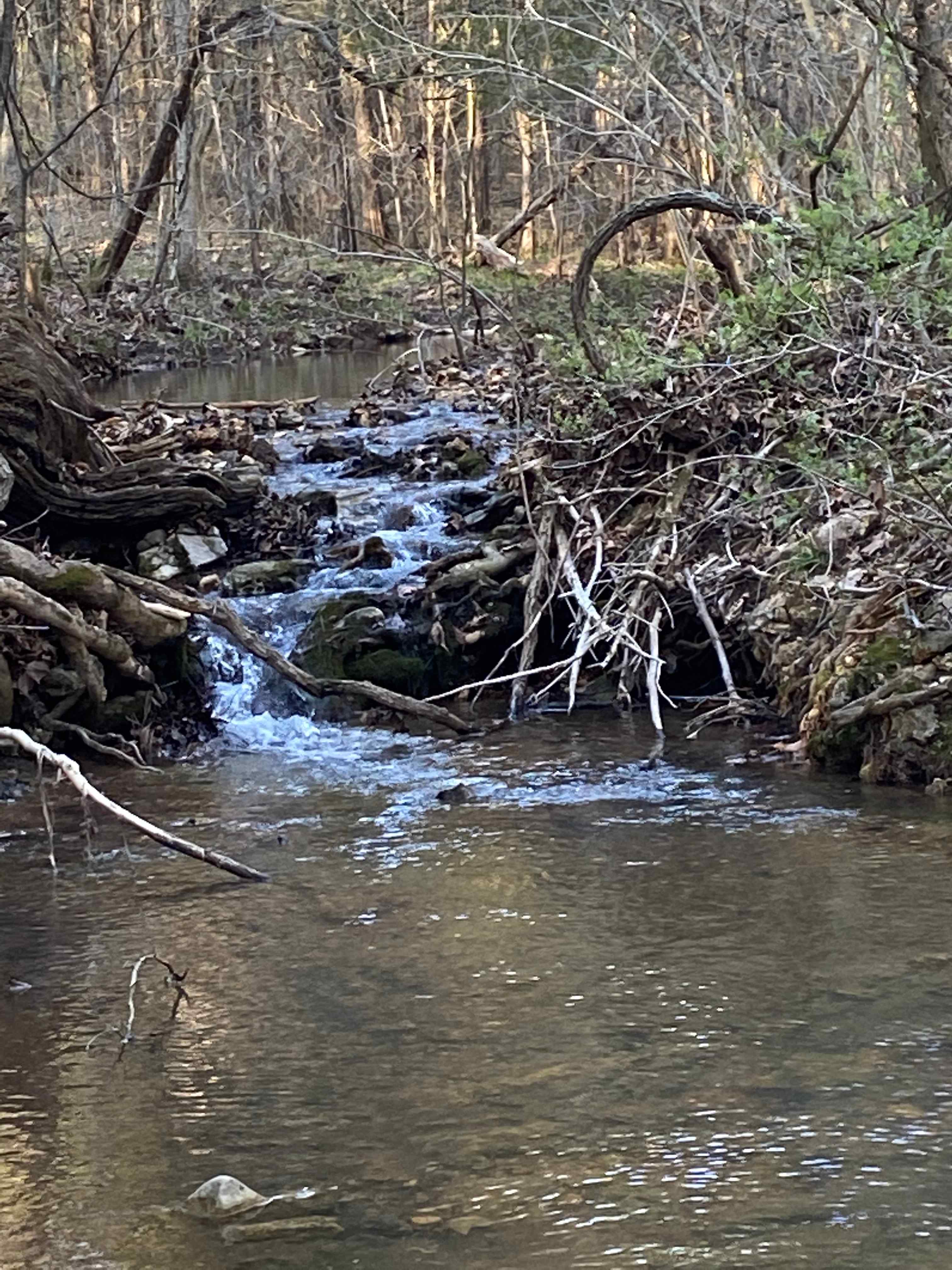 Water from our springs