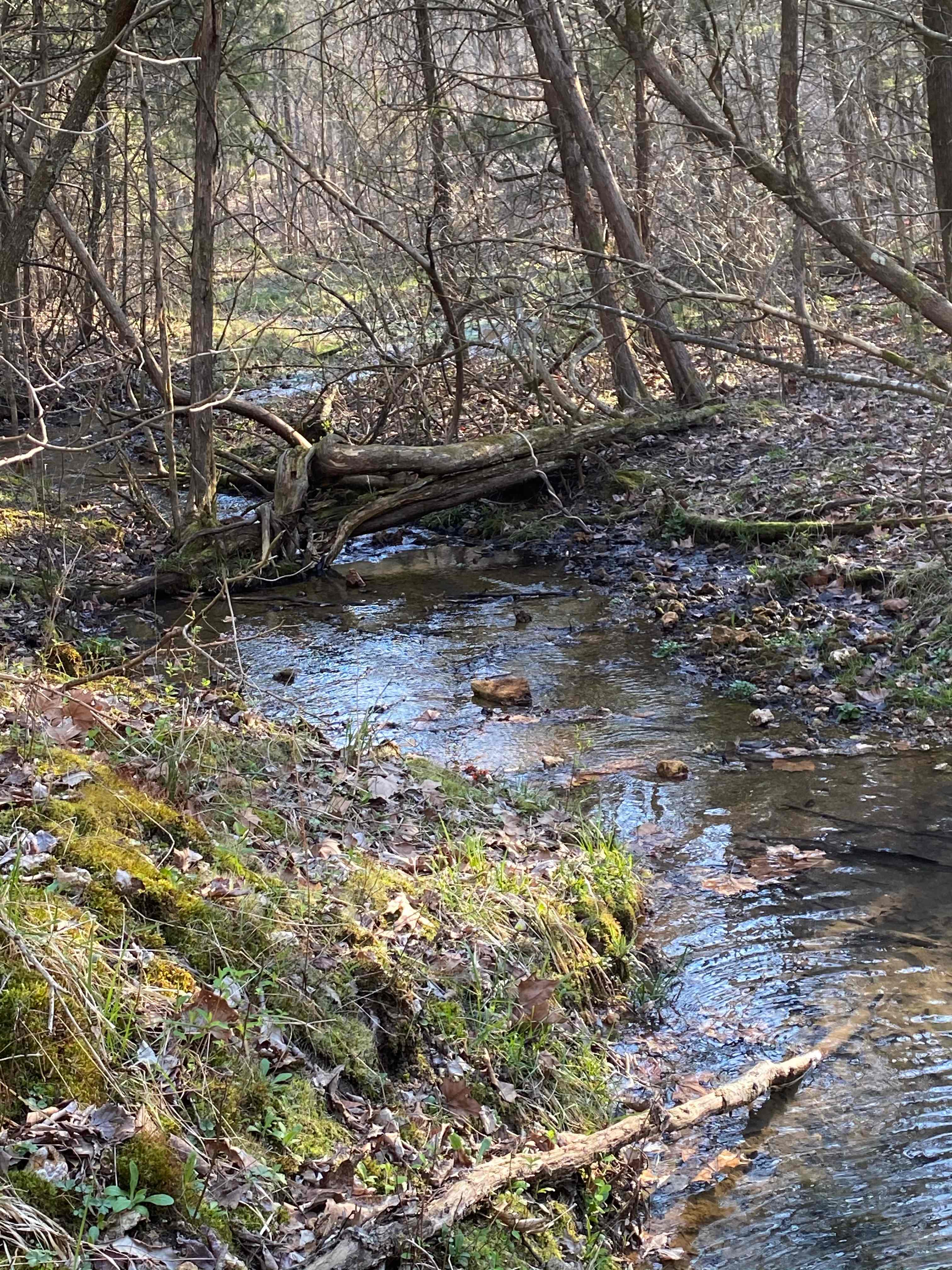Hawks Bluff Farm Campground