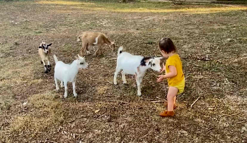Angel checking out the little one.