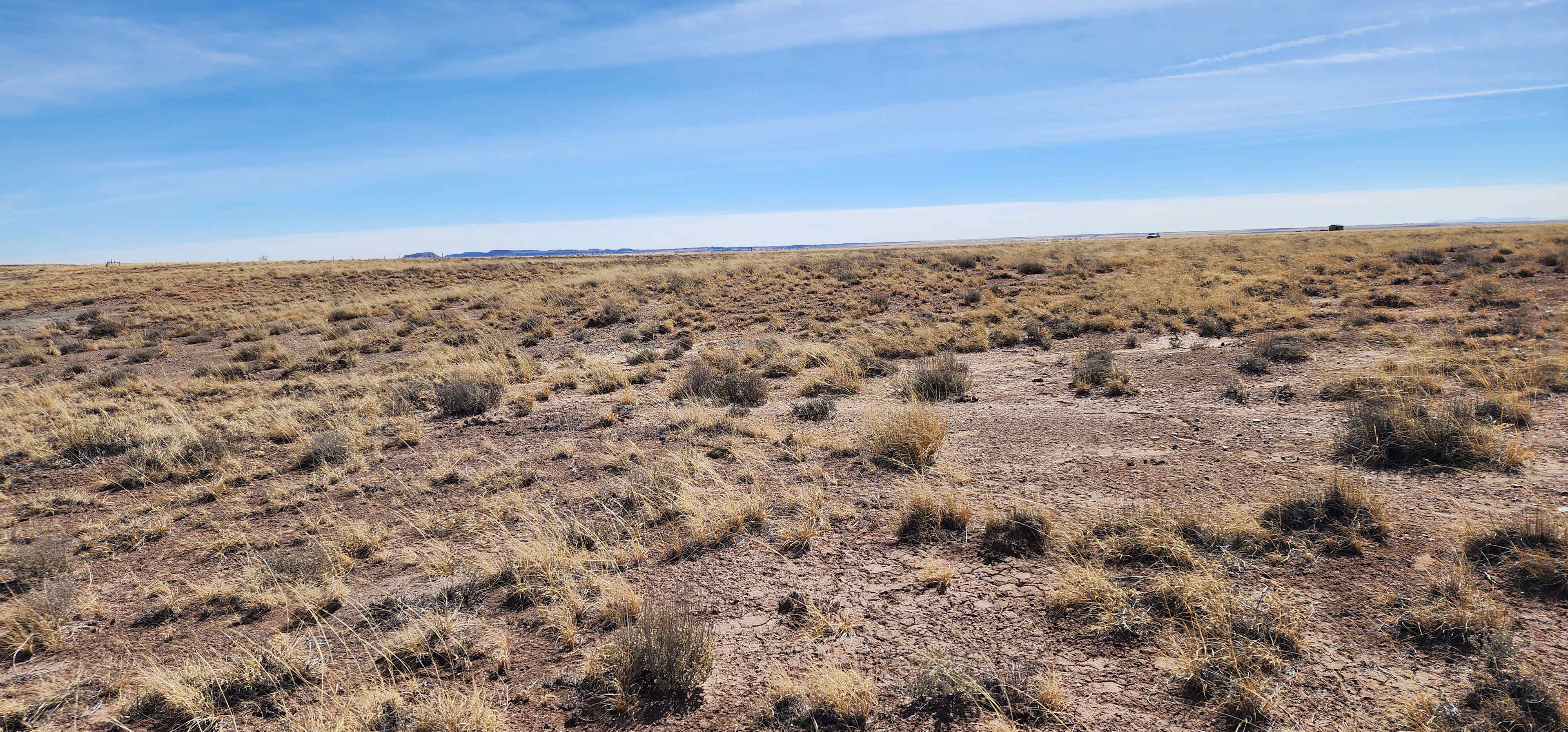 The Campsites at Paraíso Dorado
